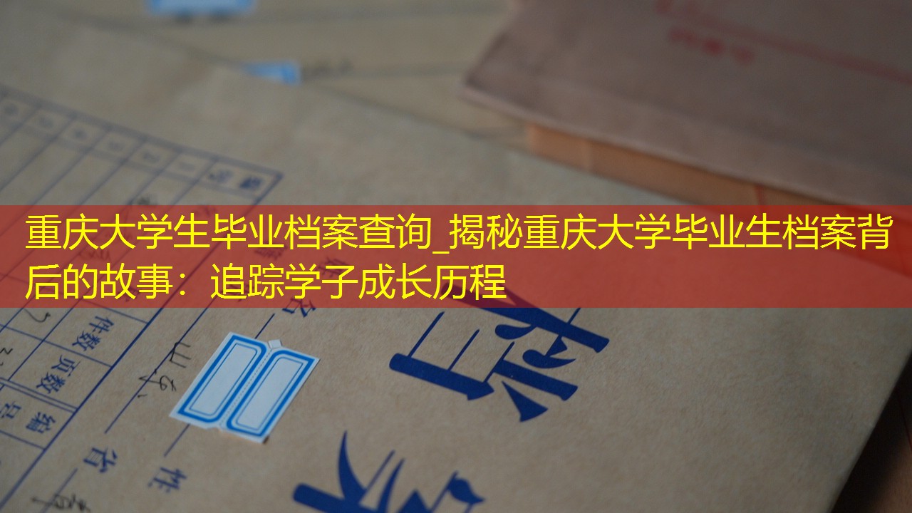 档案查询