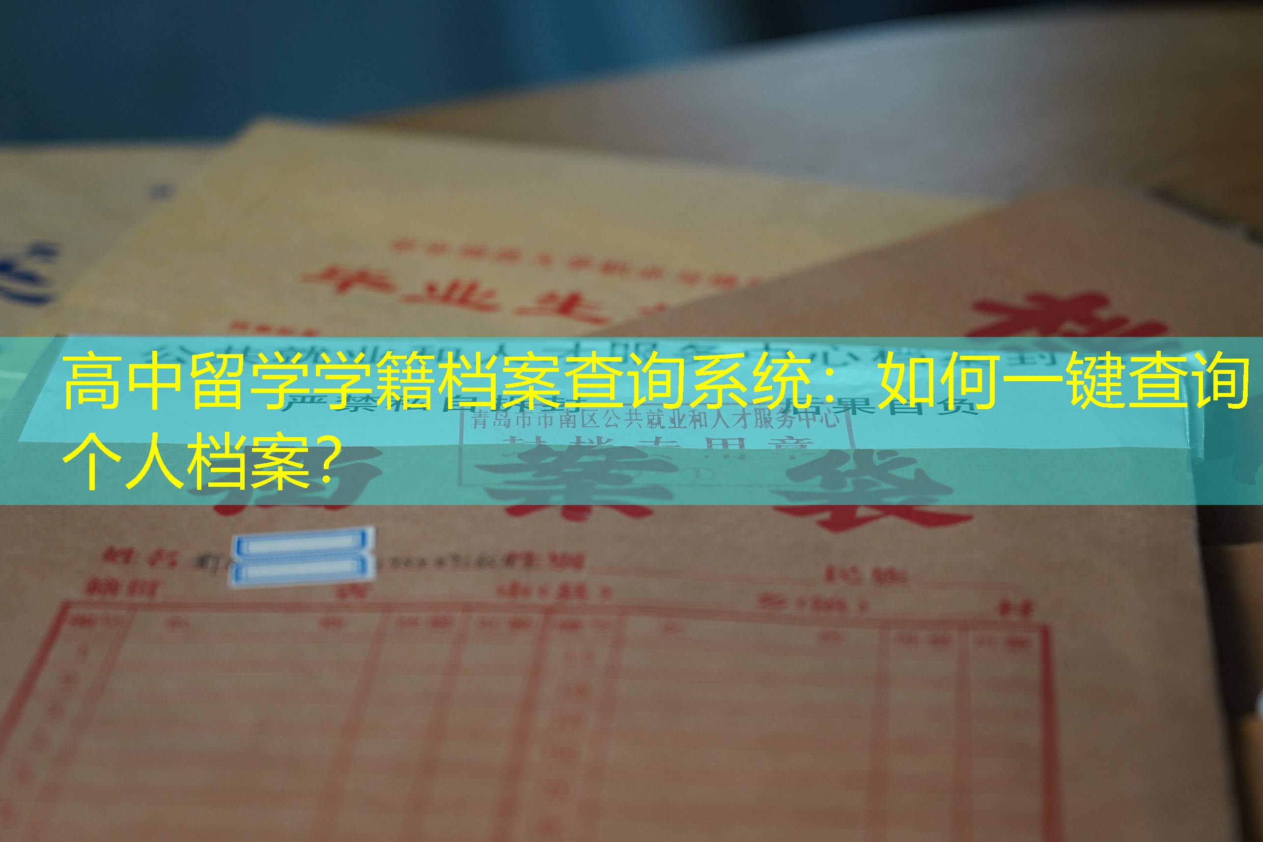 档案查询
