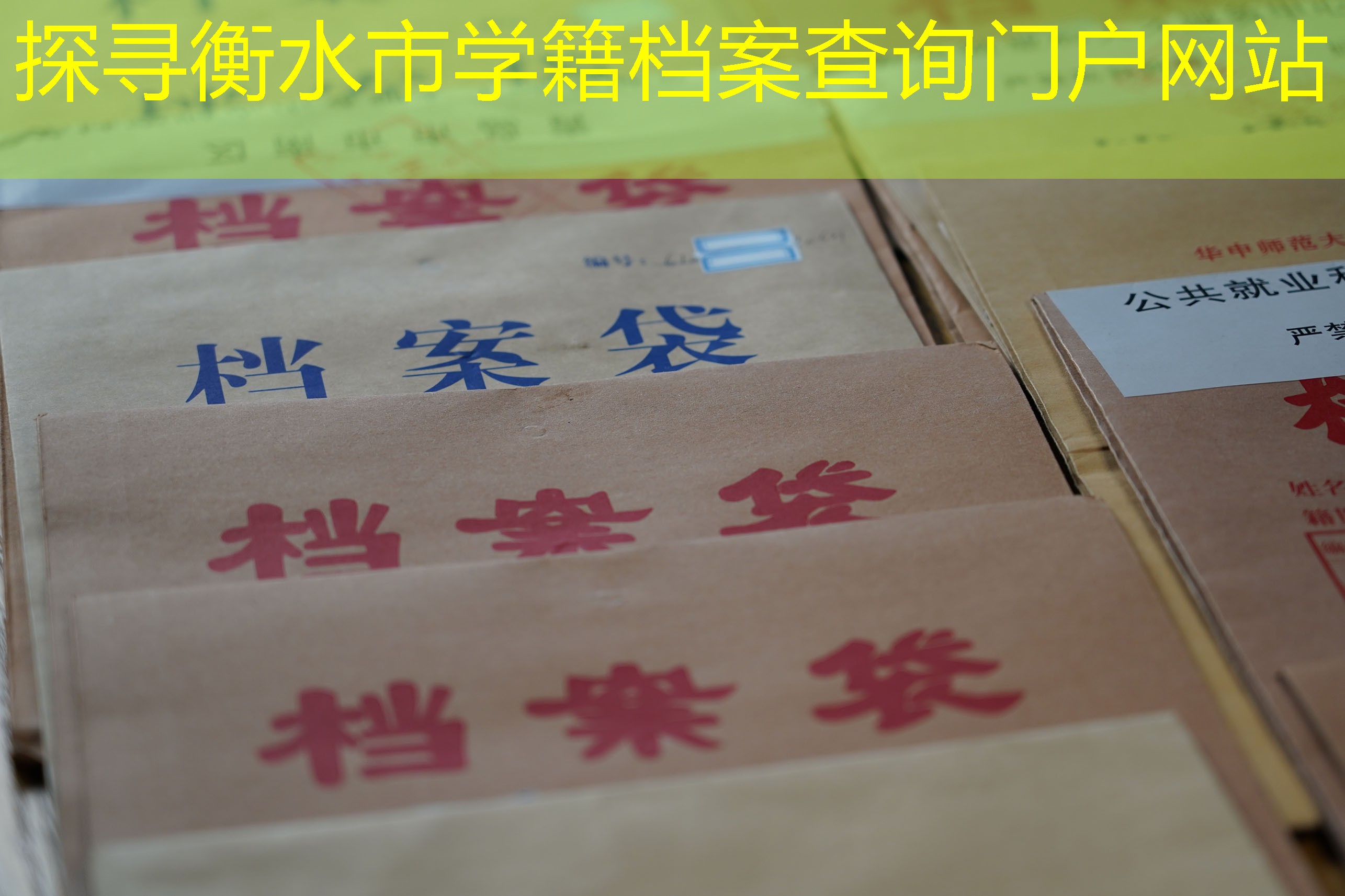 档案查询