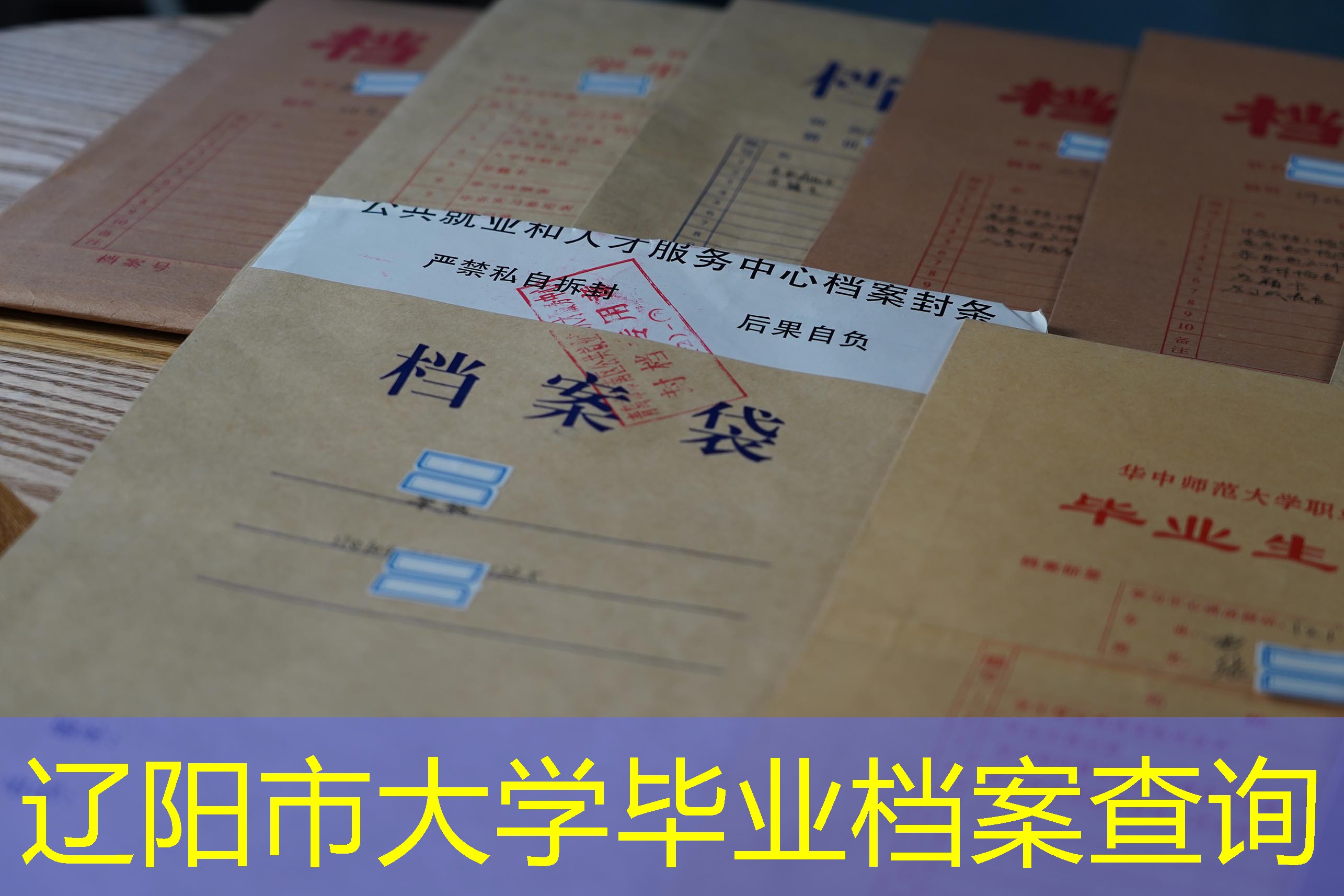 档案查询