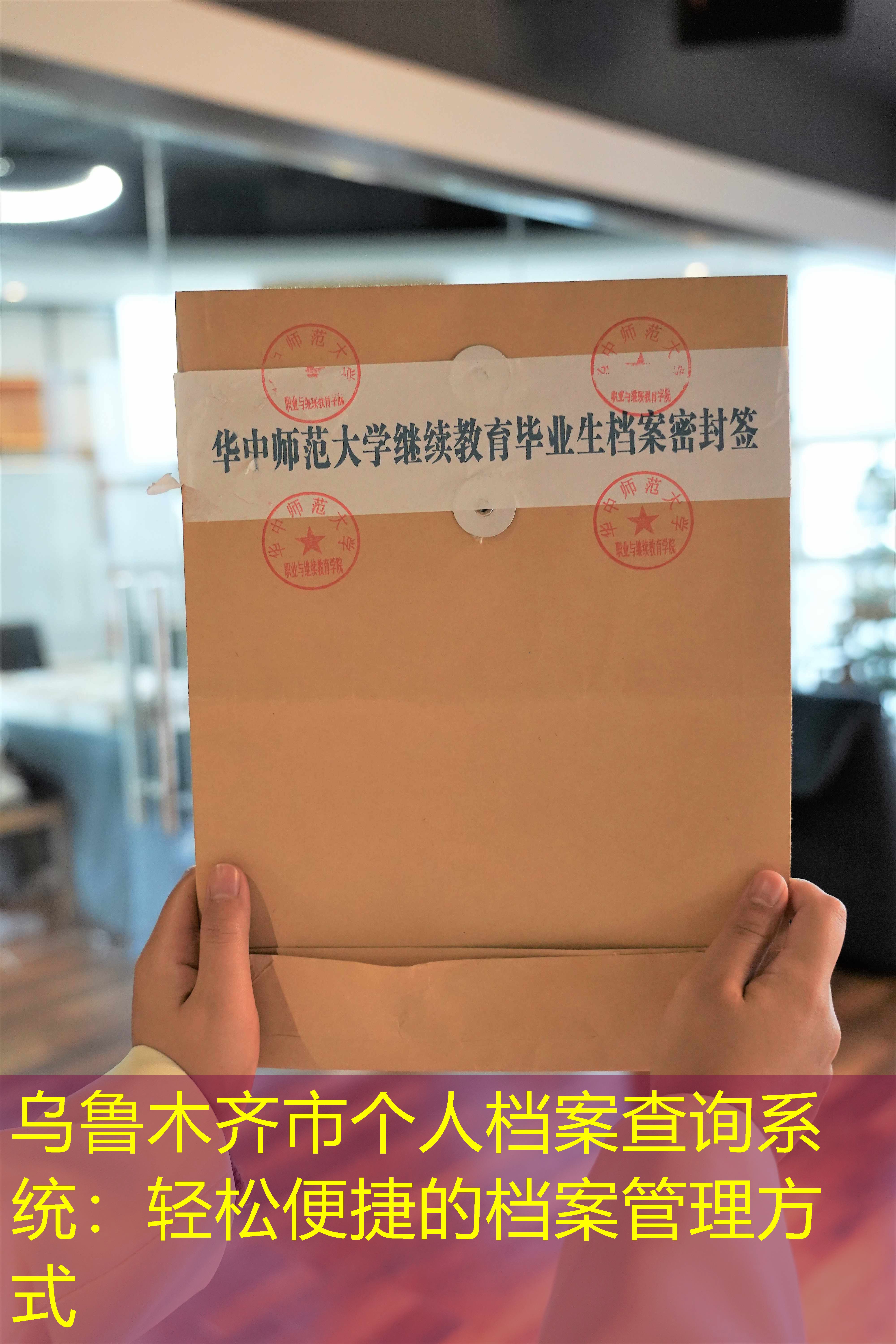 档案查询