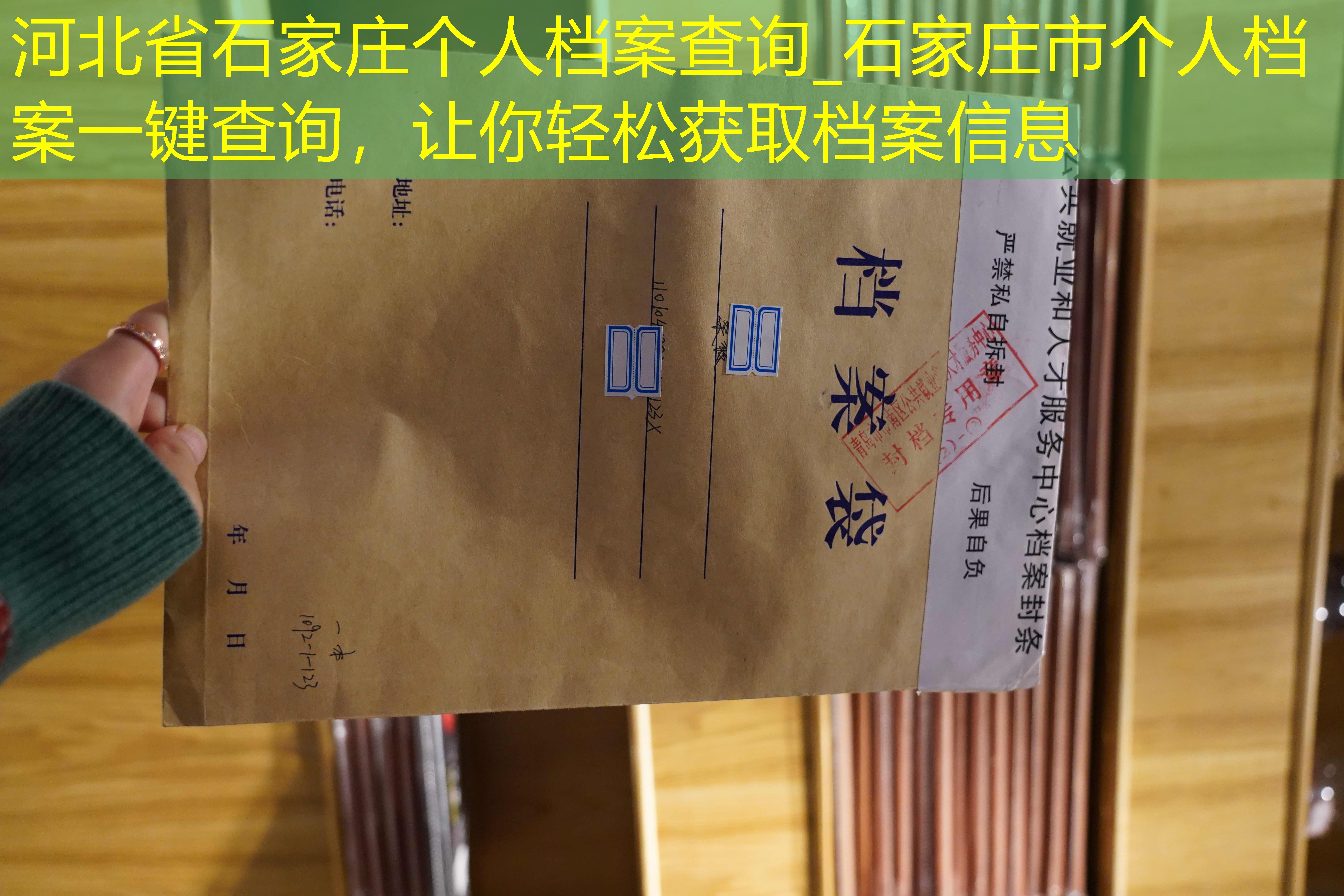 档案查询