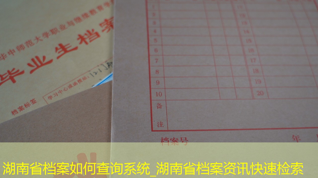 档案查询