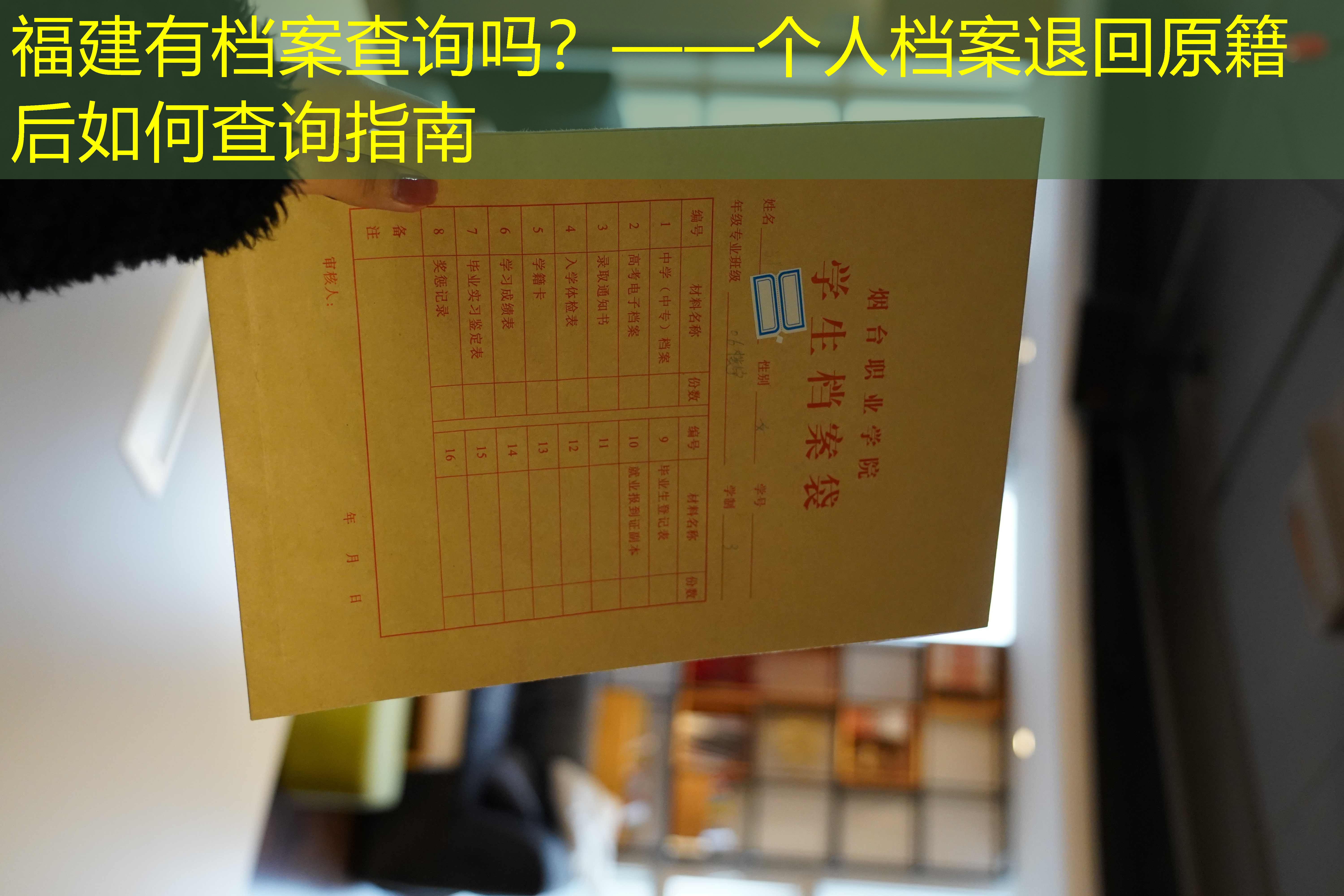 档案查询