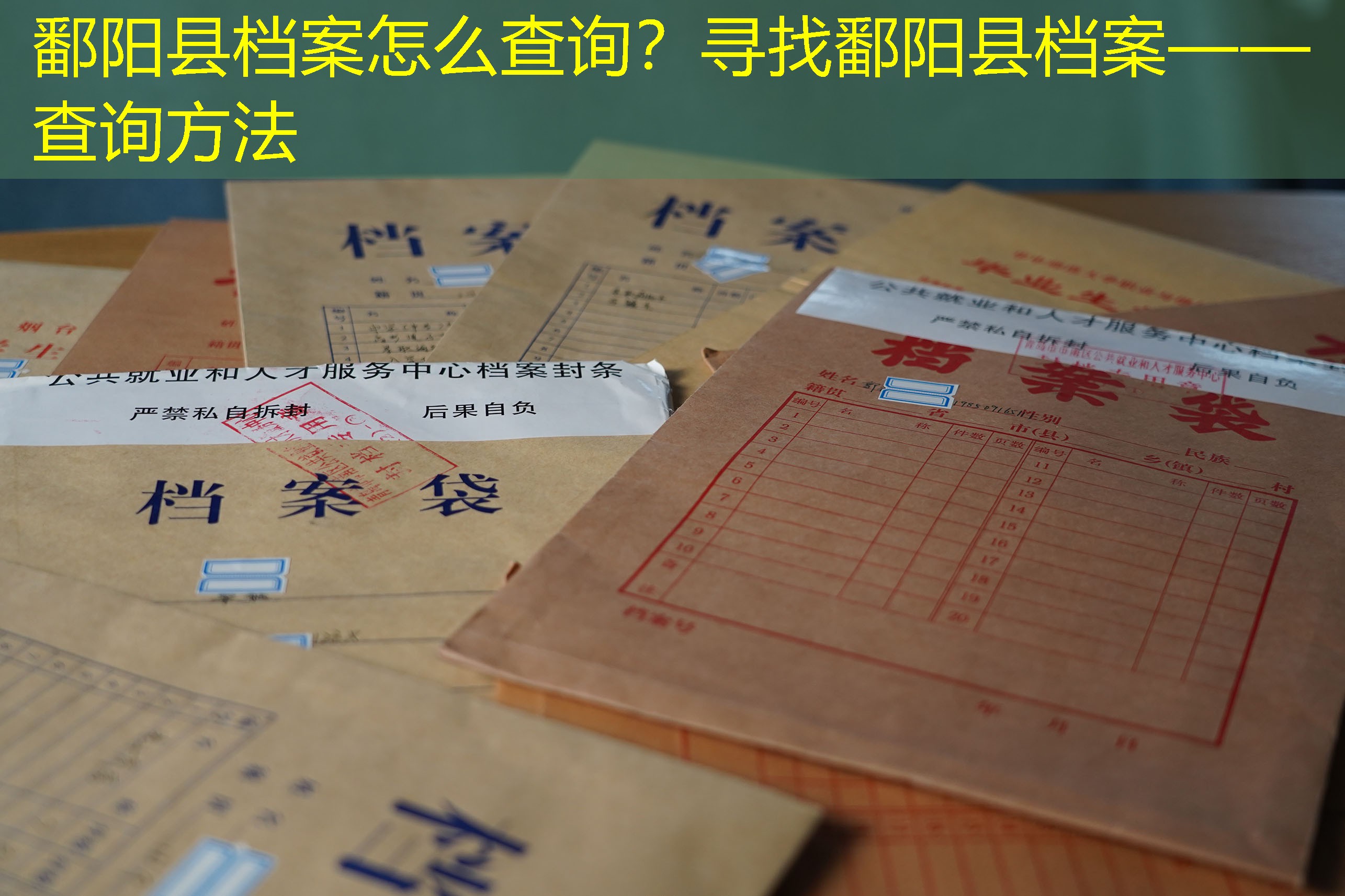 档案查询