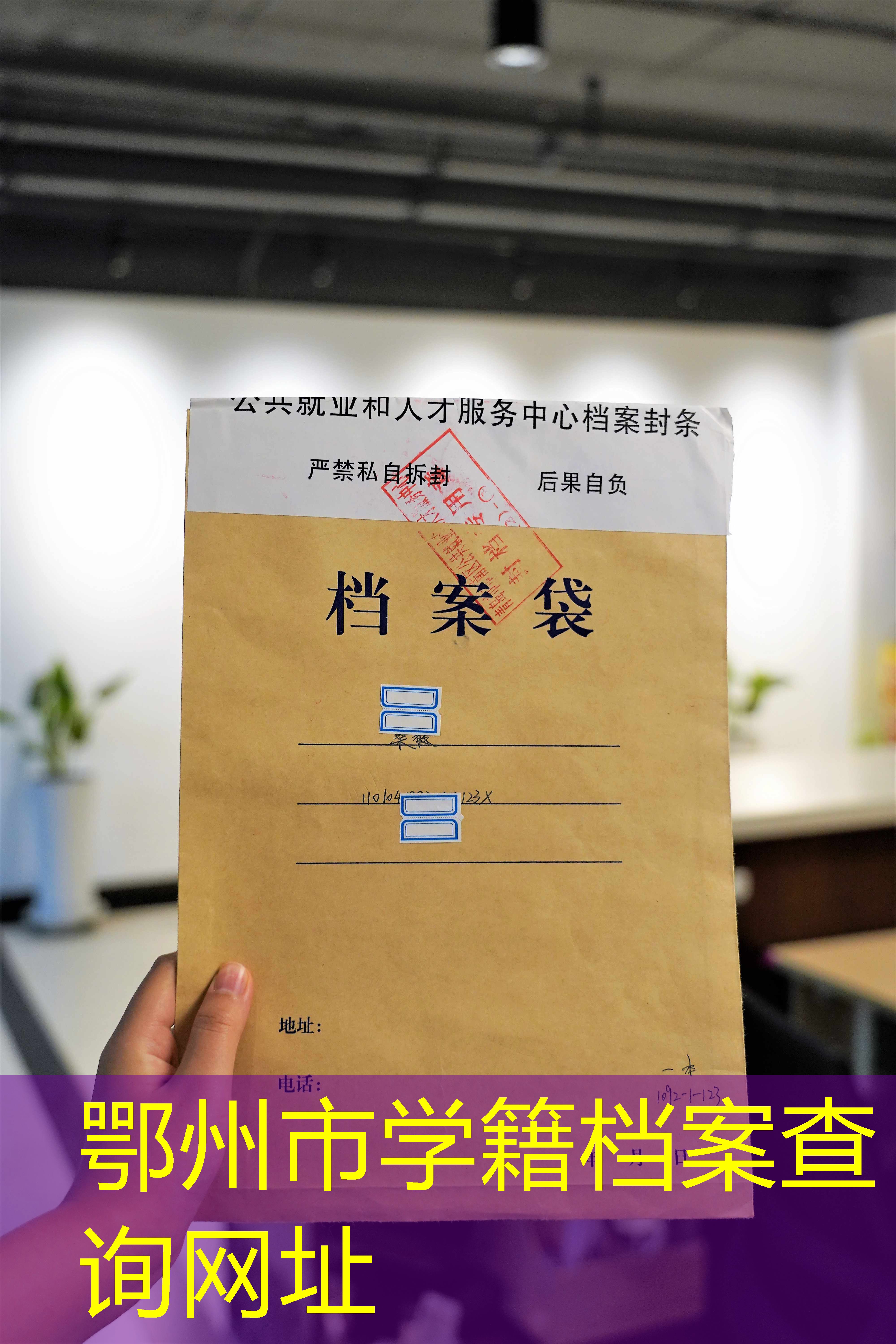 档案查询