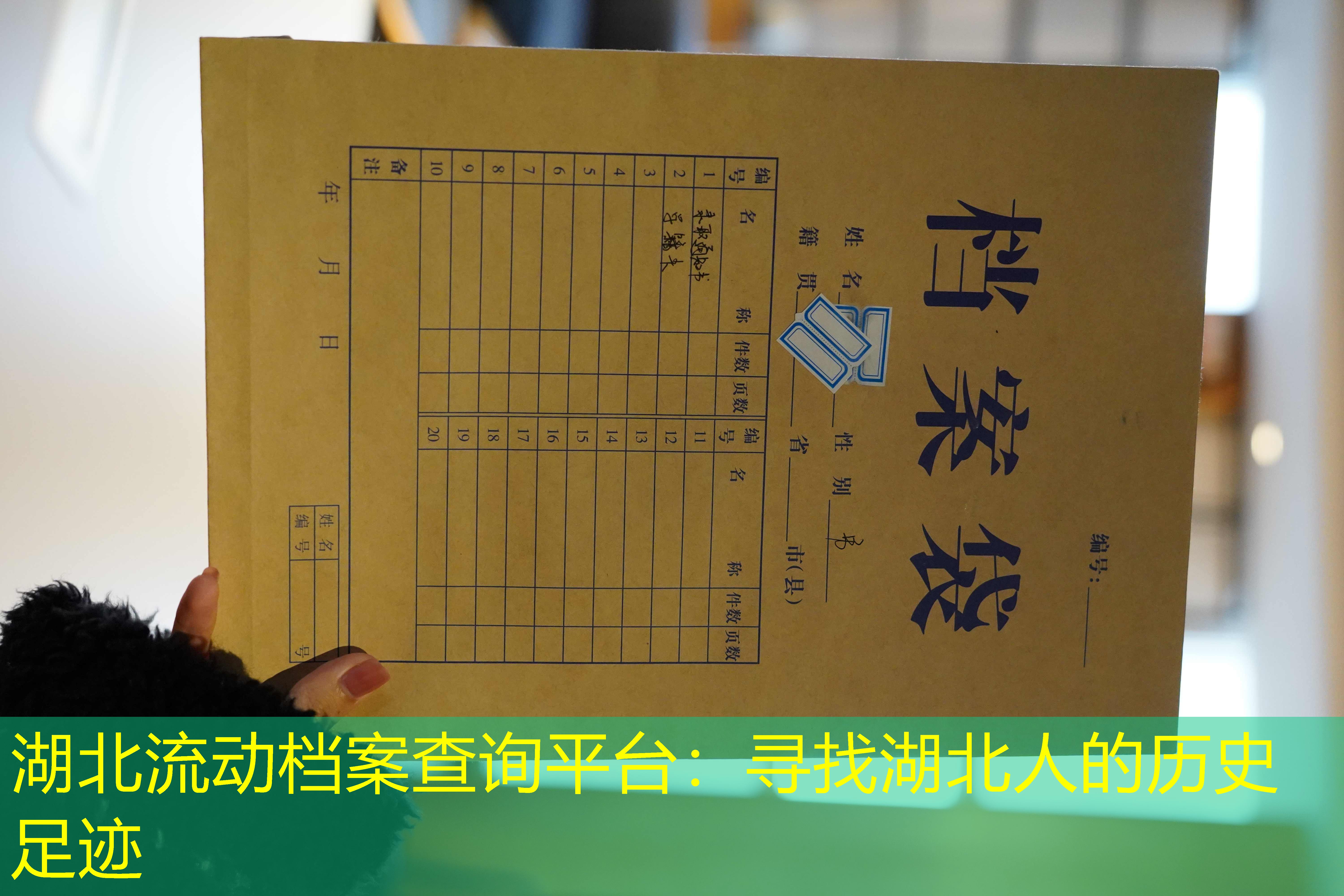 档案查询