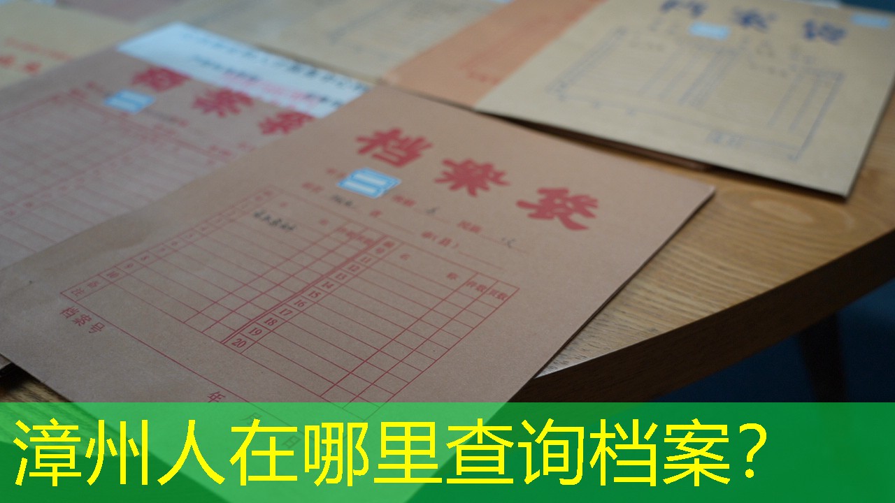 档案查询