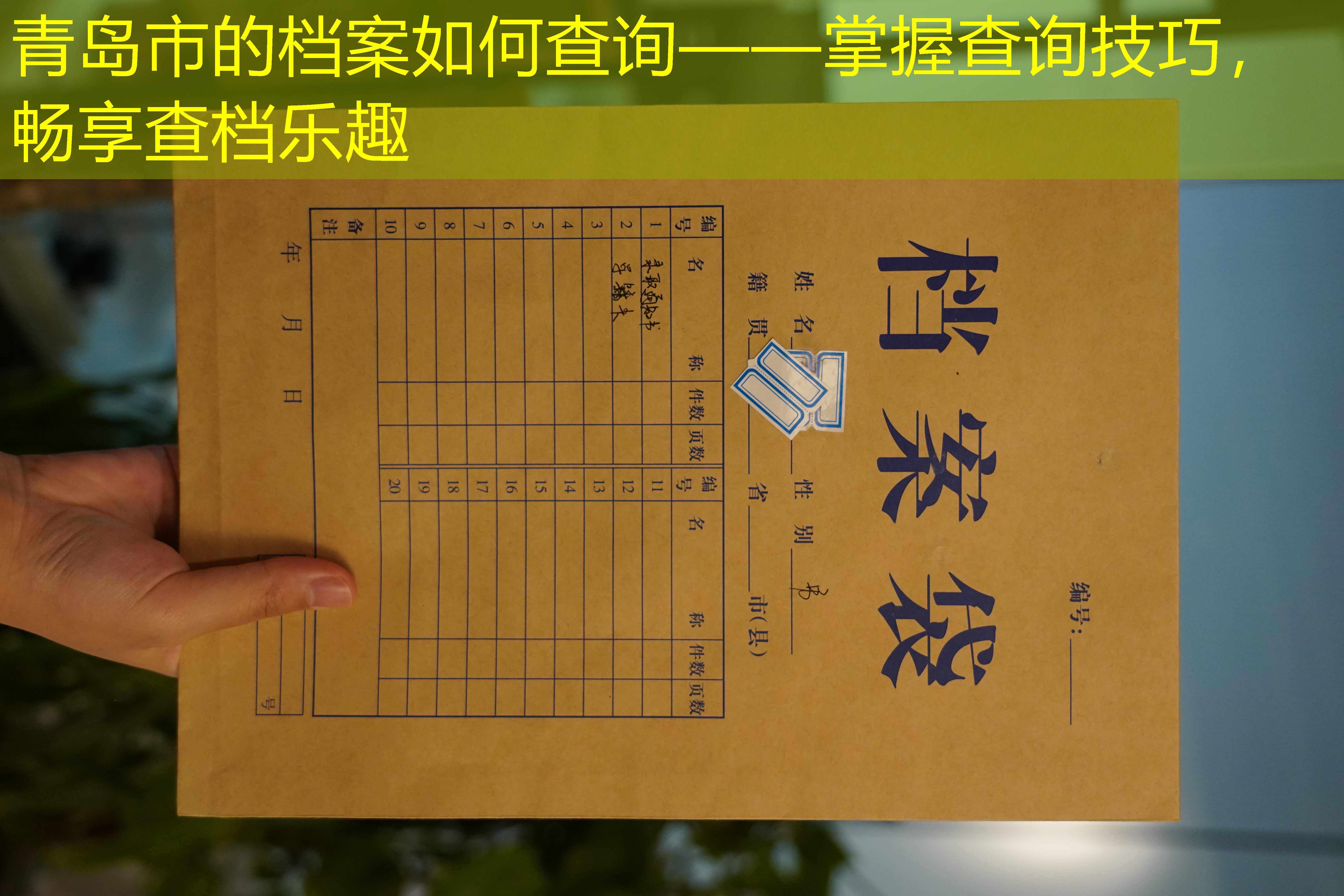 档案查询
