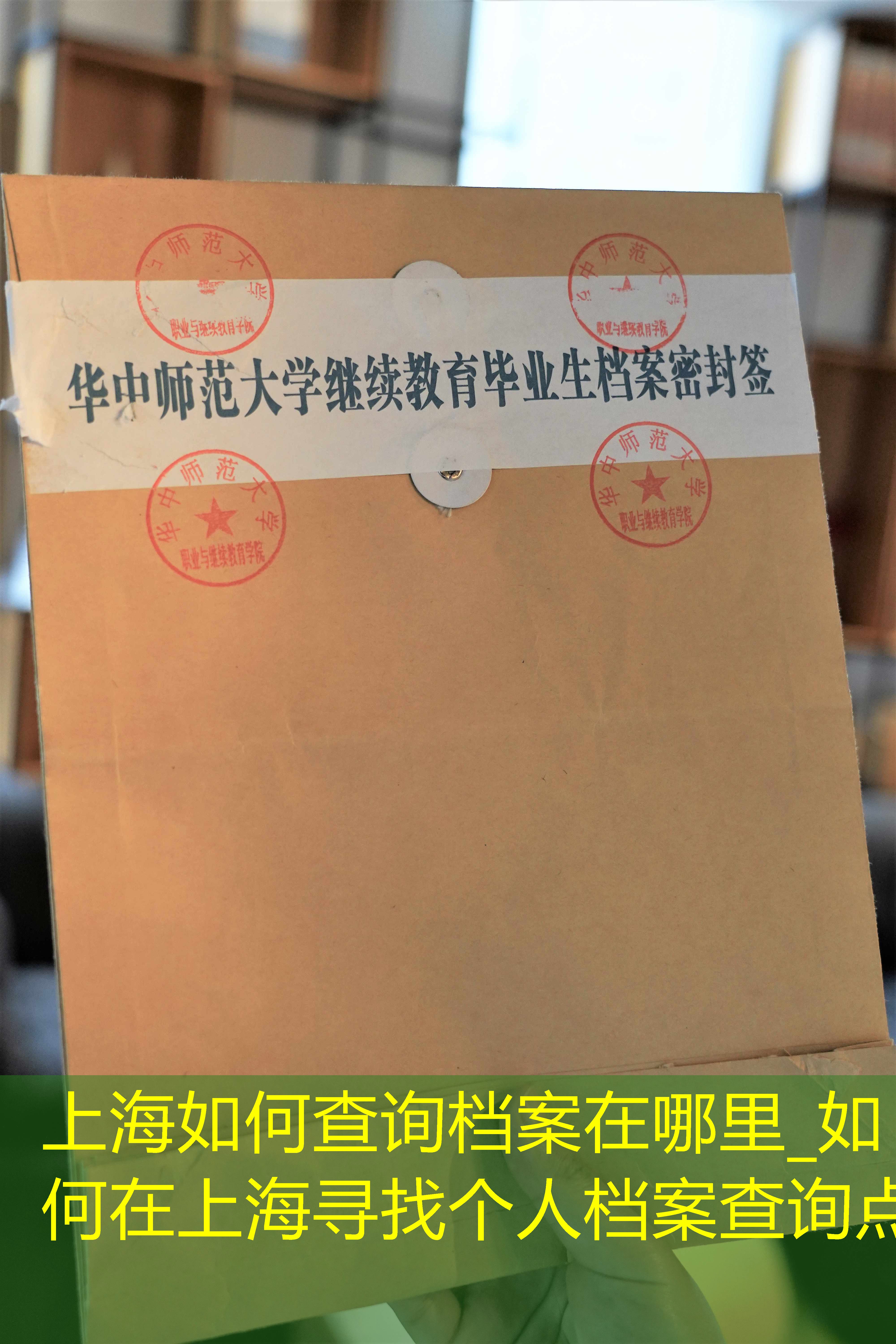 档案查询