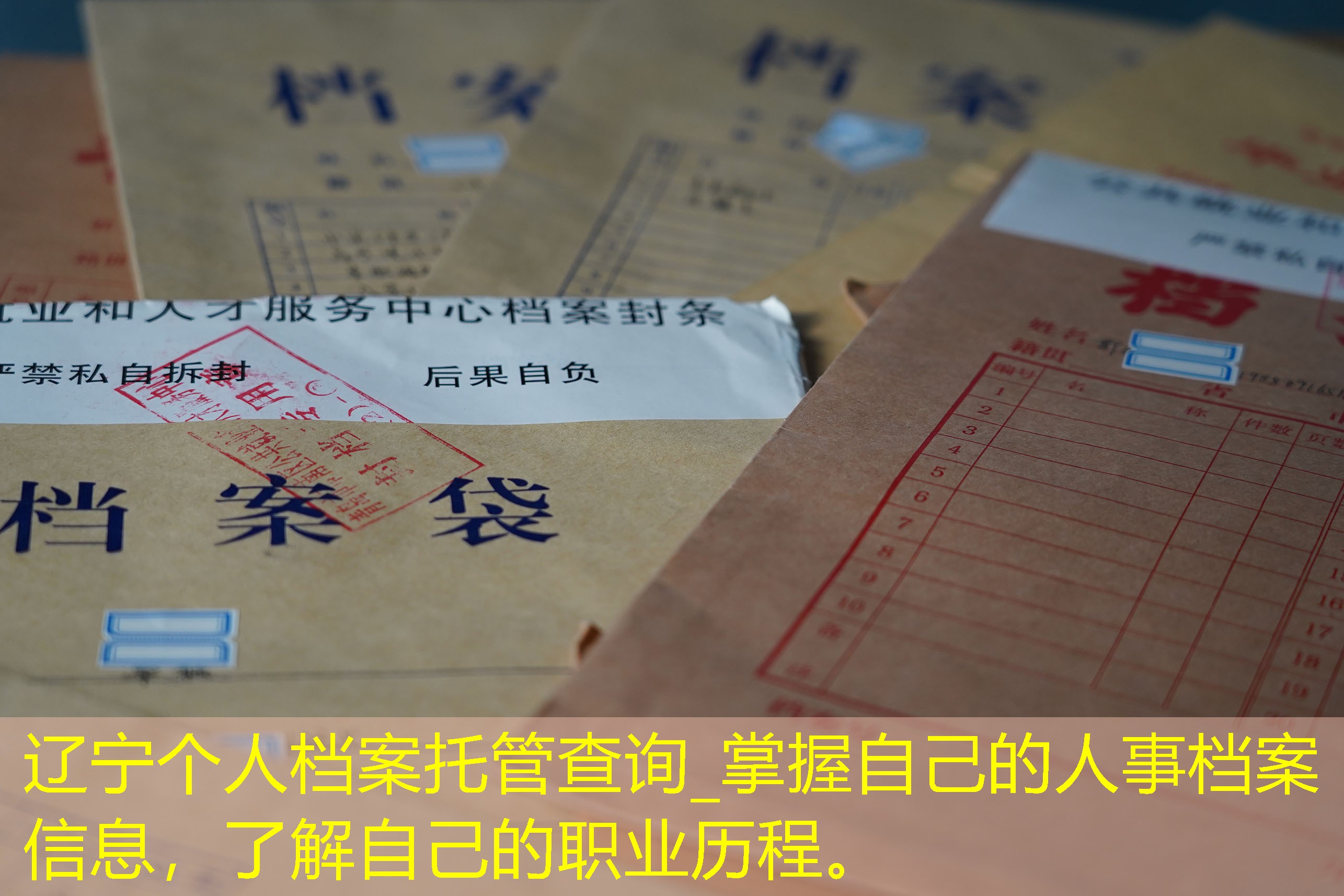 档案查询