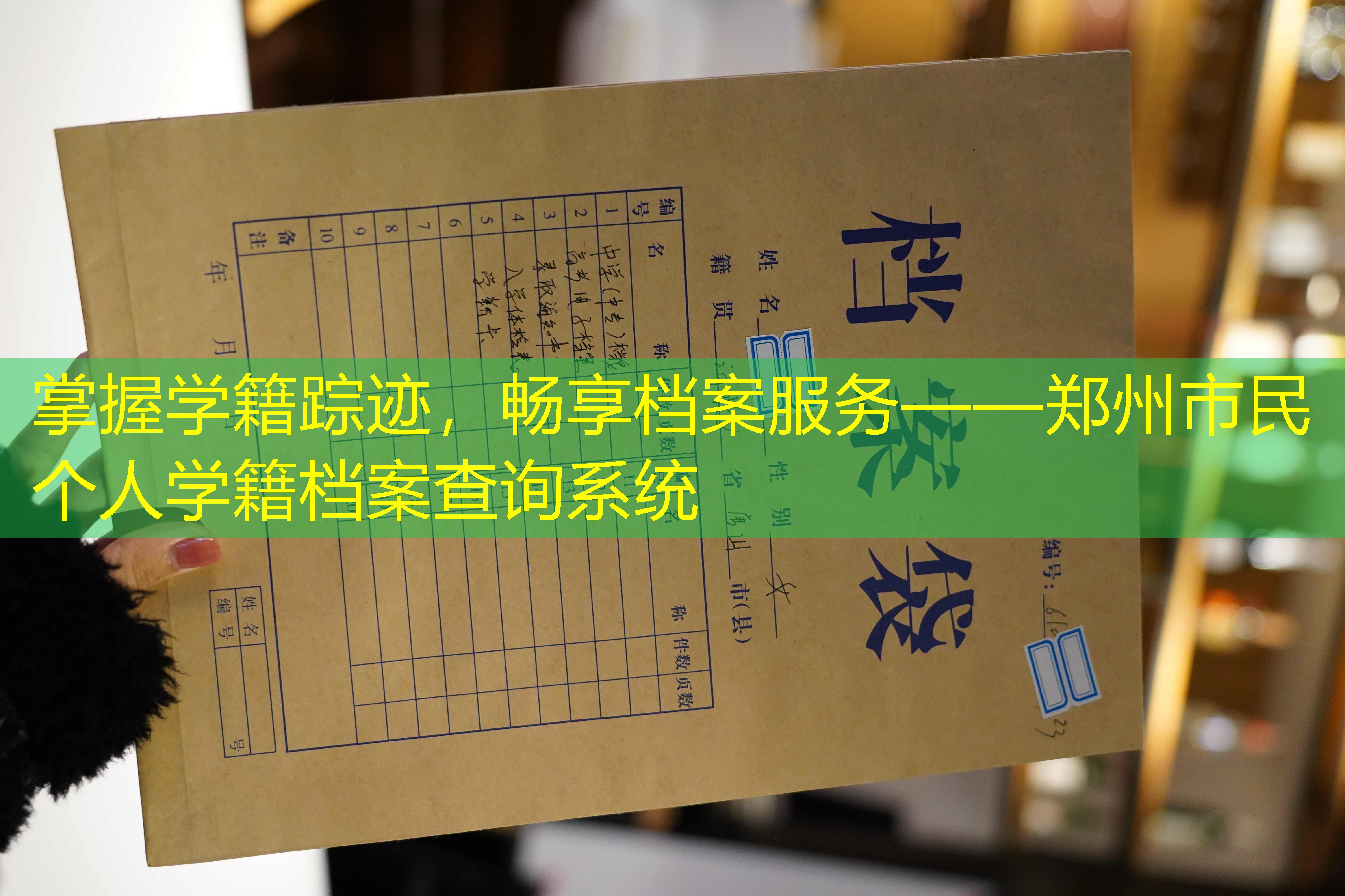 档案查询