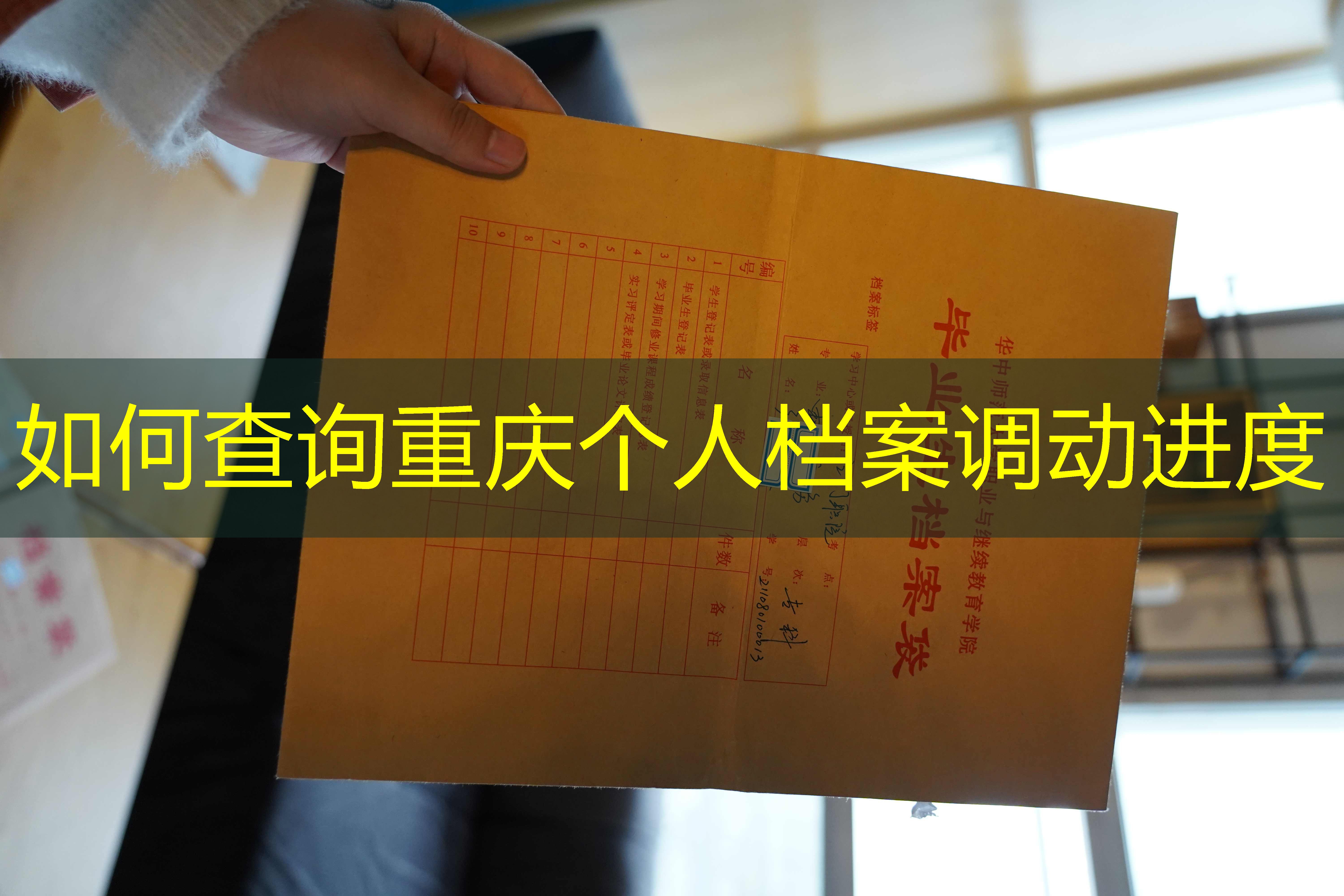 档案查询