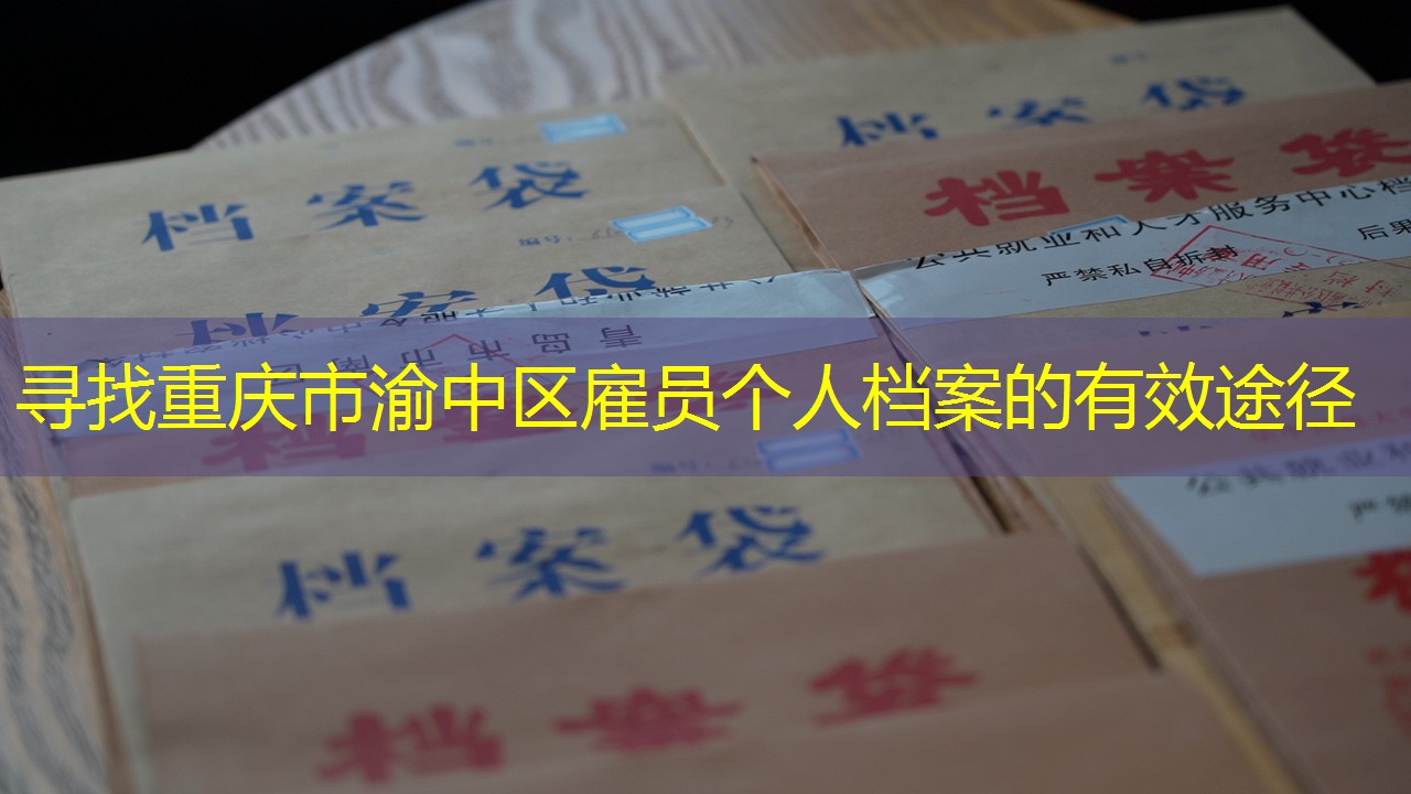 档案查询