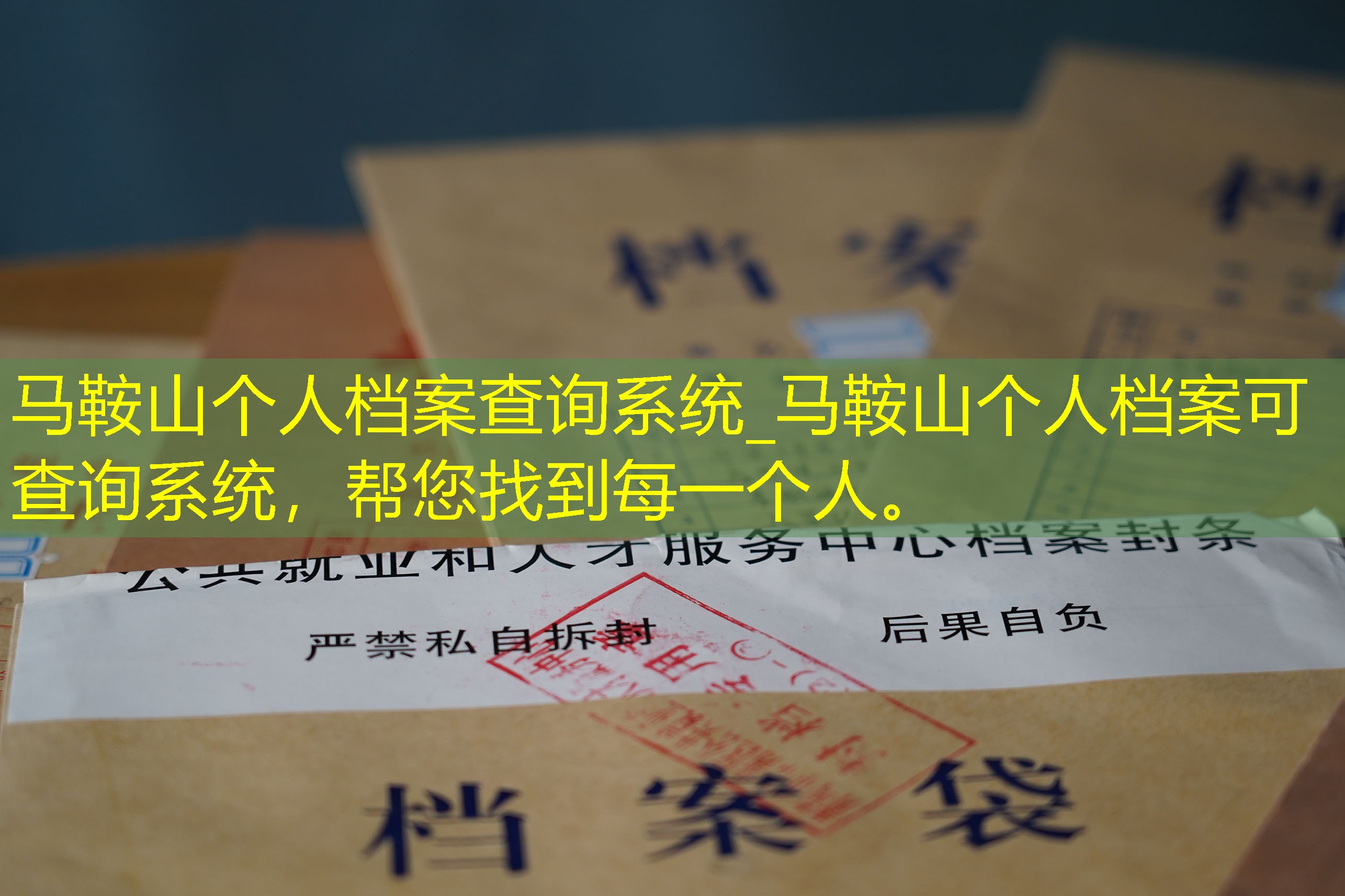 档案查询