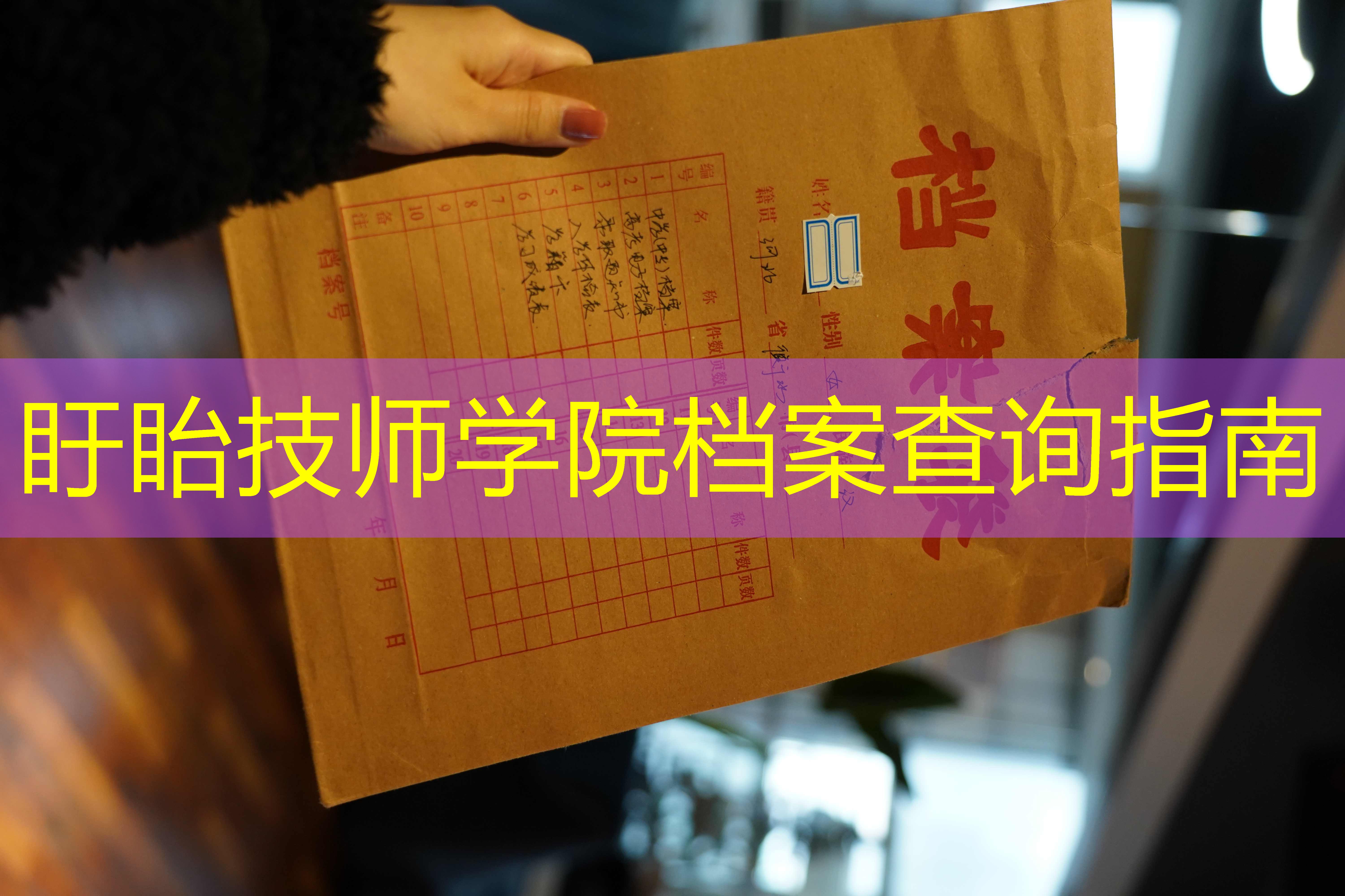 档案查询