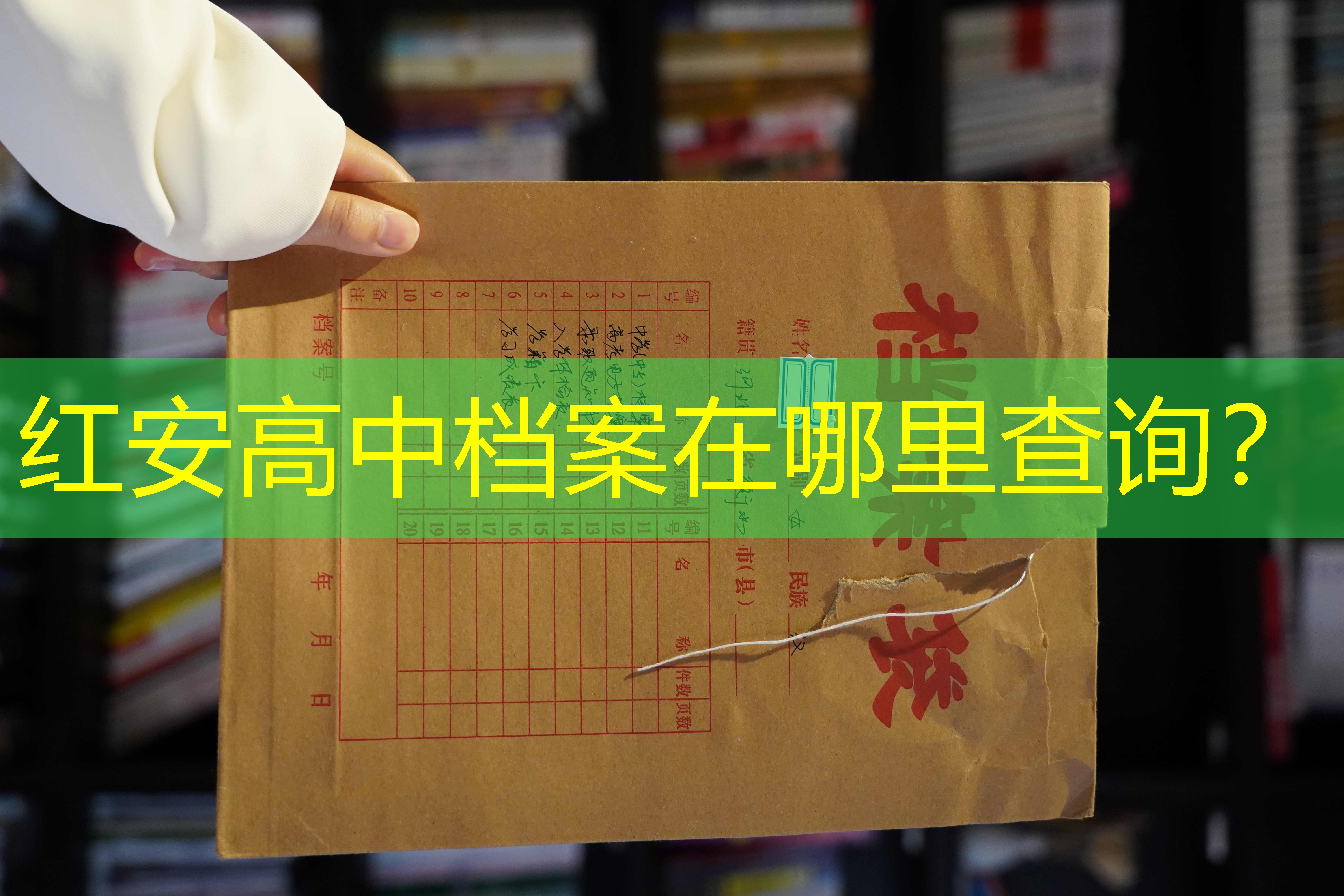 档案查询