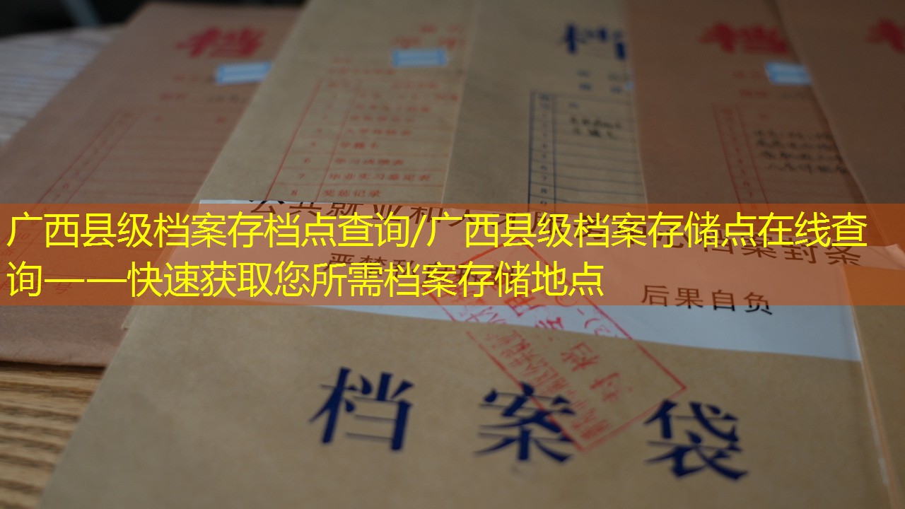 档案查询