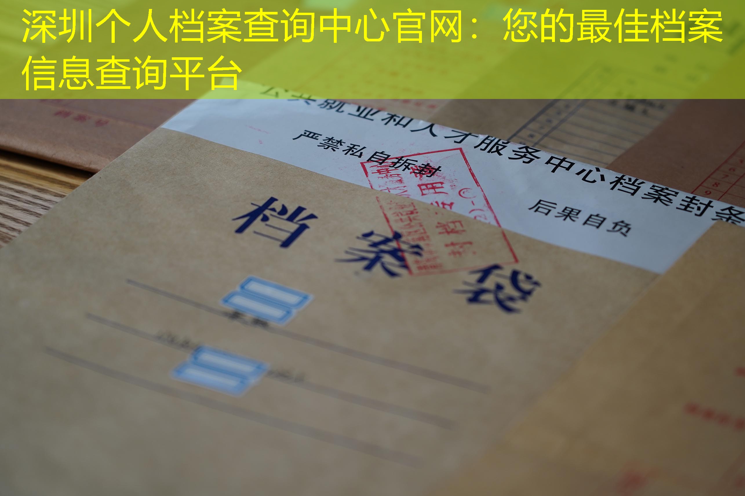 档案查询
