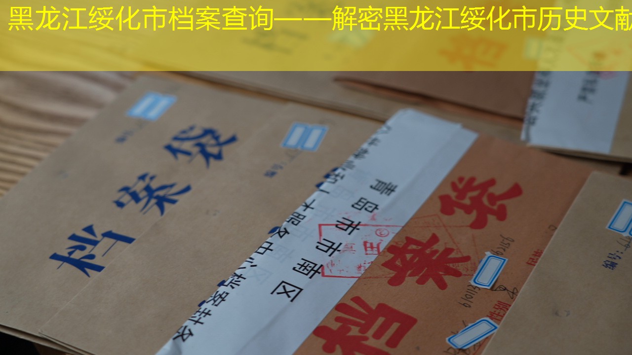 档案查询