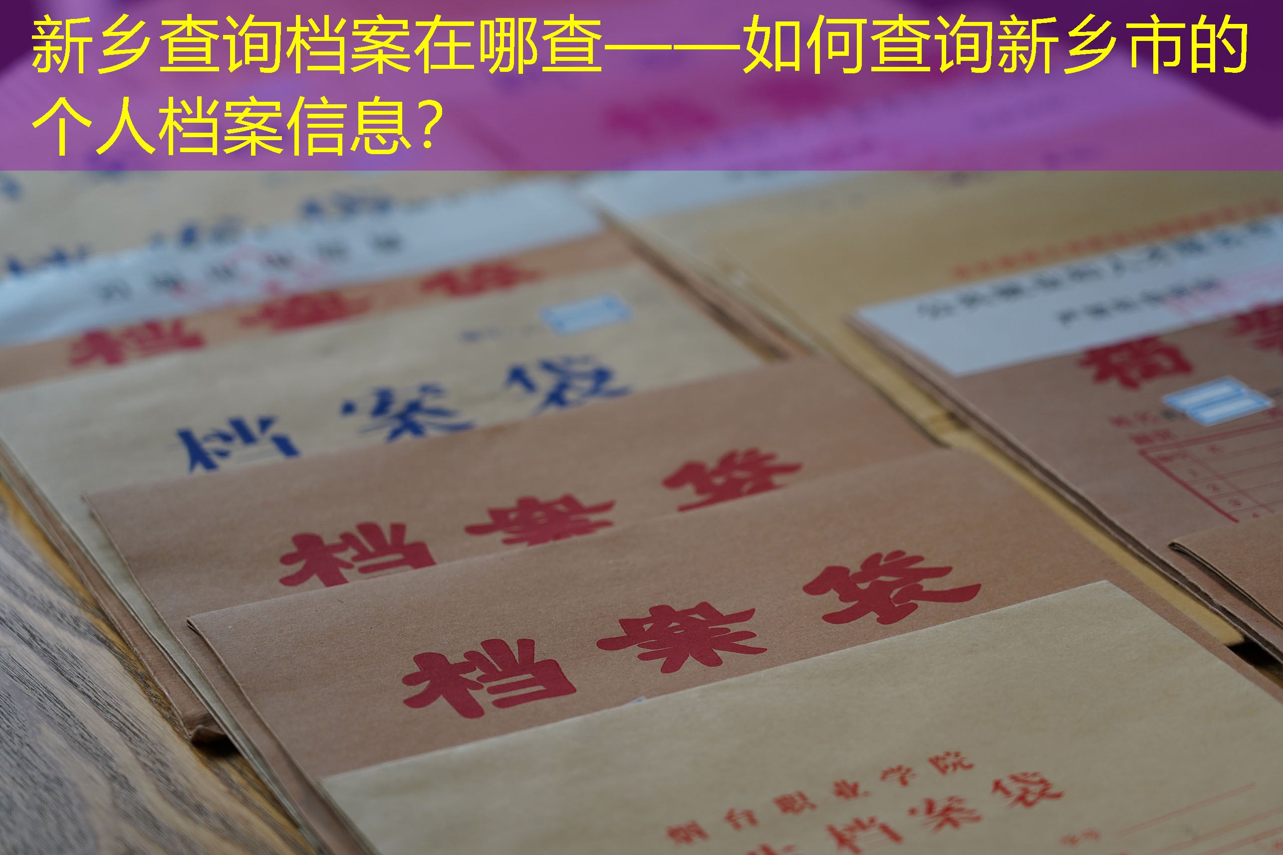 档案查询