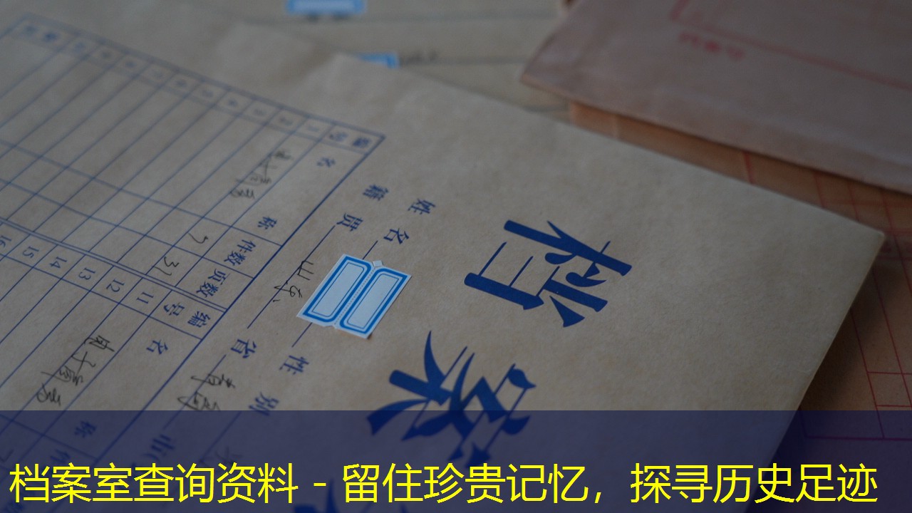 档案查询
