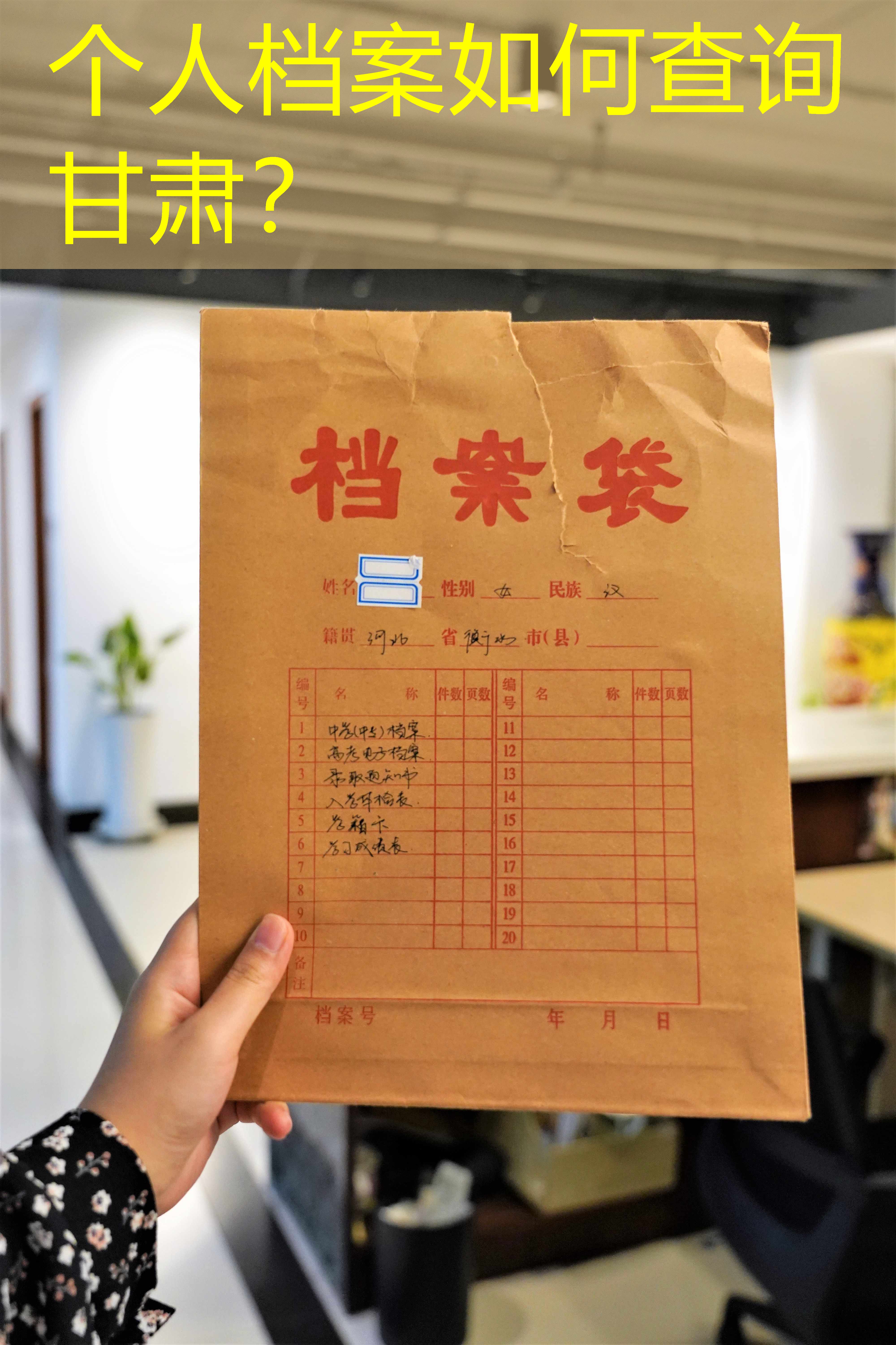 档案查询