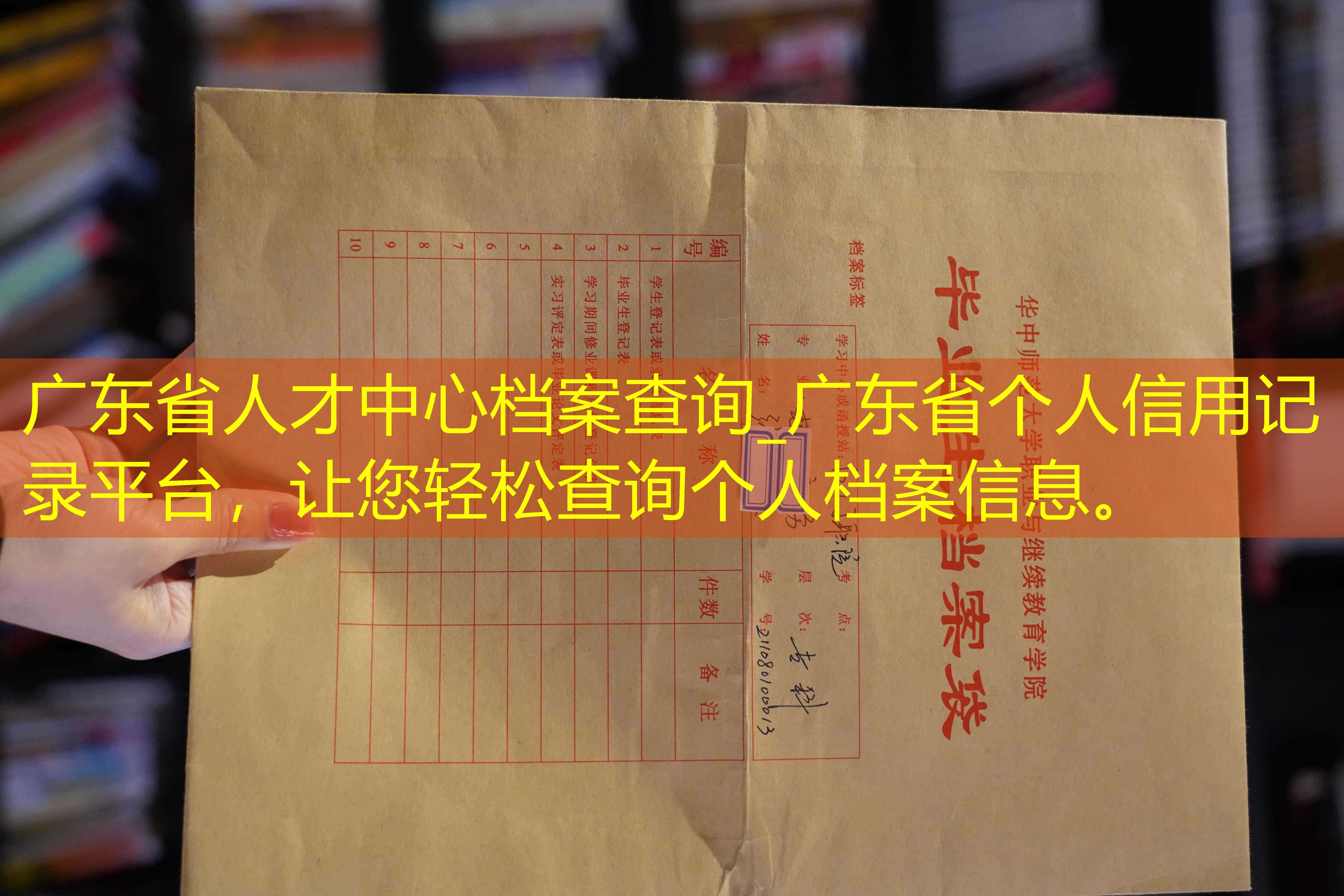 档案查询