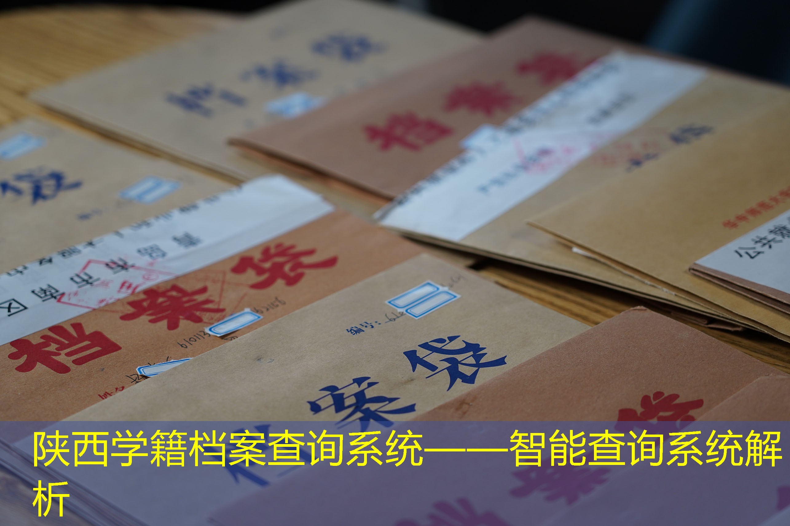 档案查询