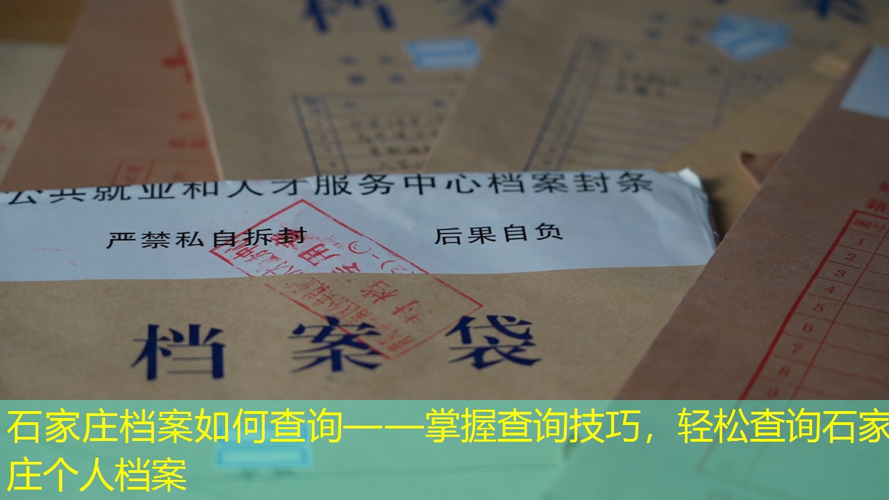 档案查询