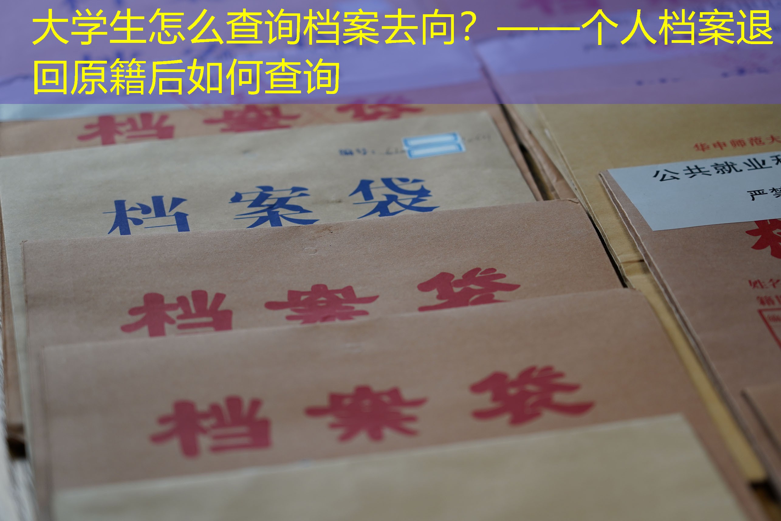 档案查询