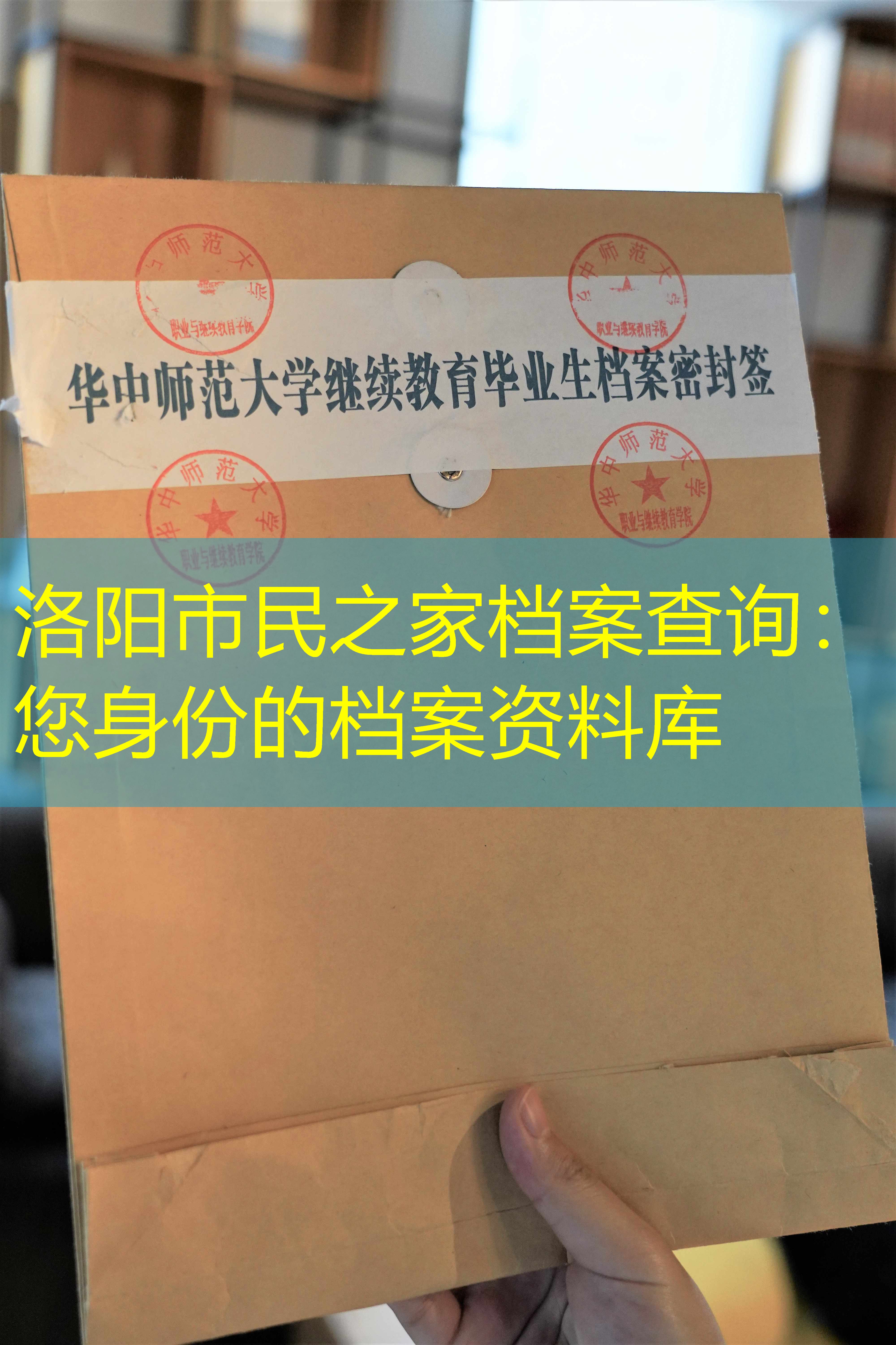 档案查询