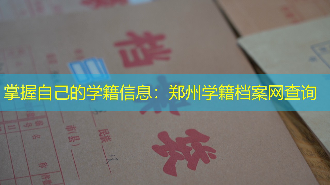 档案查询