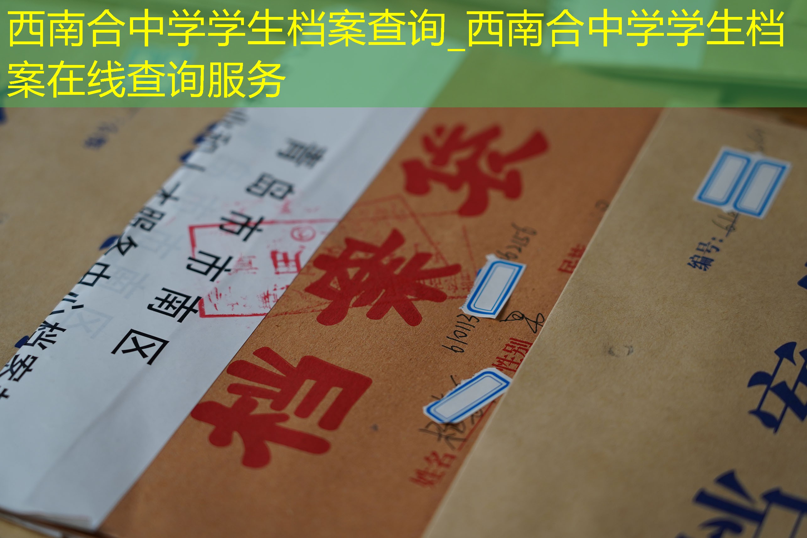 档案查询