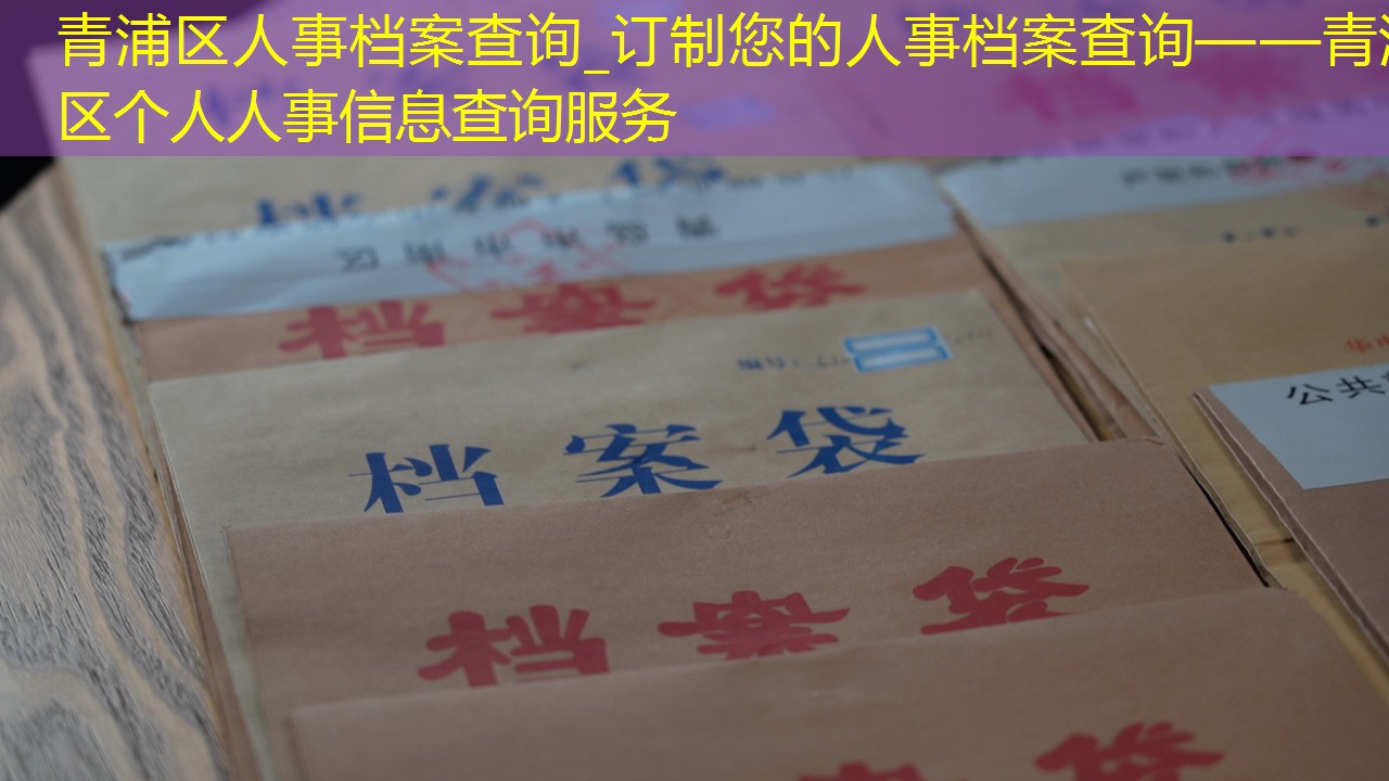 档案查询