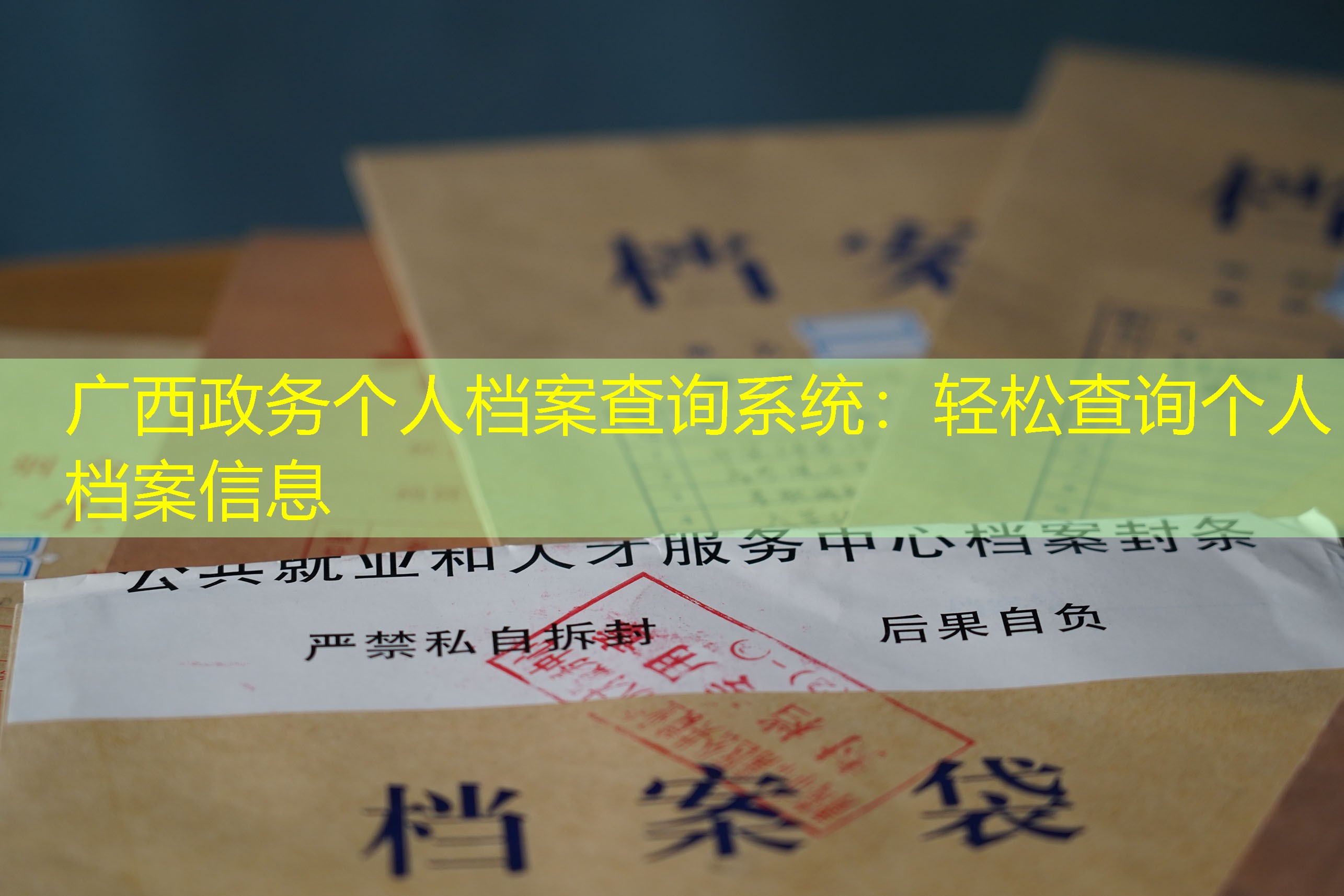 档案查询
