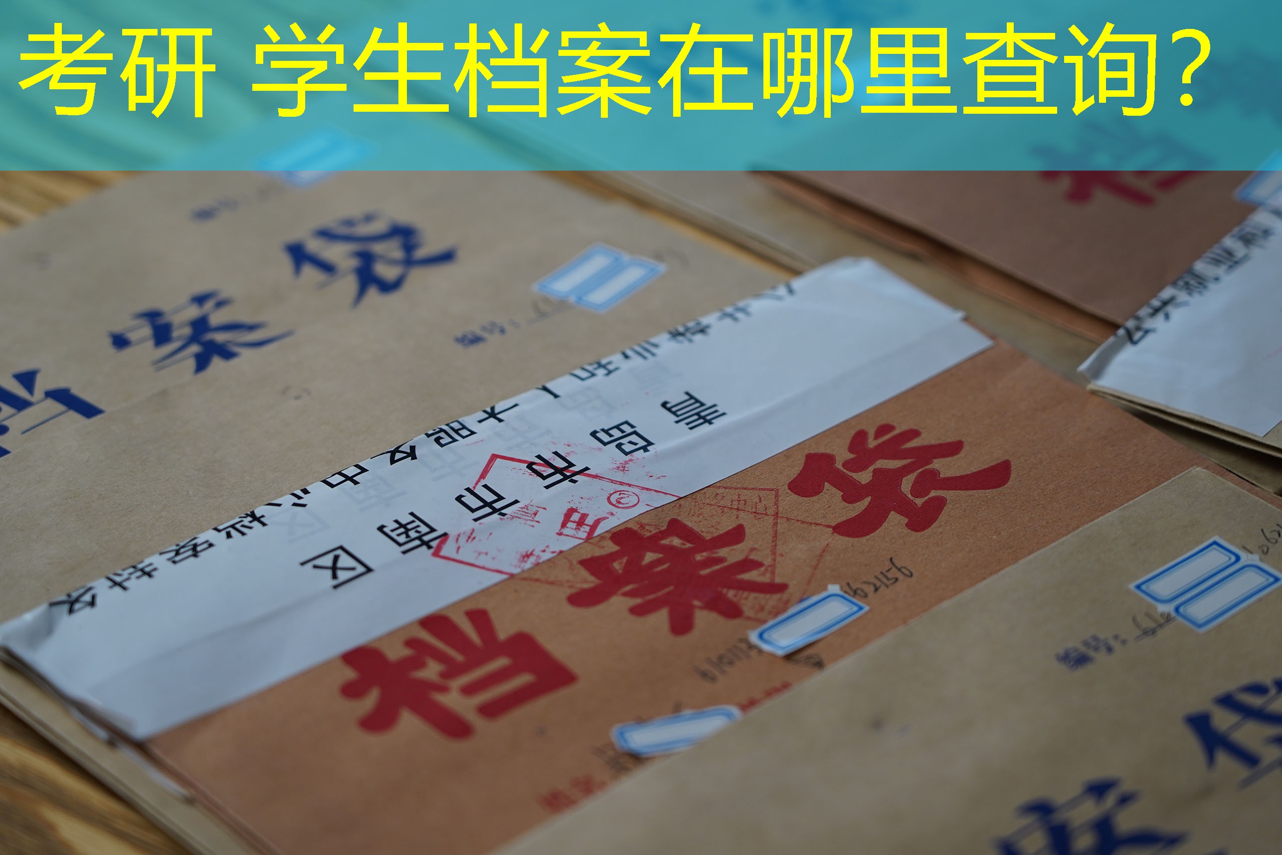 档案查询
