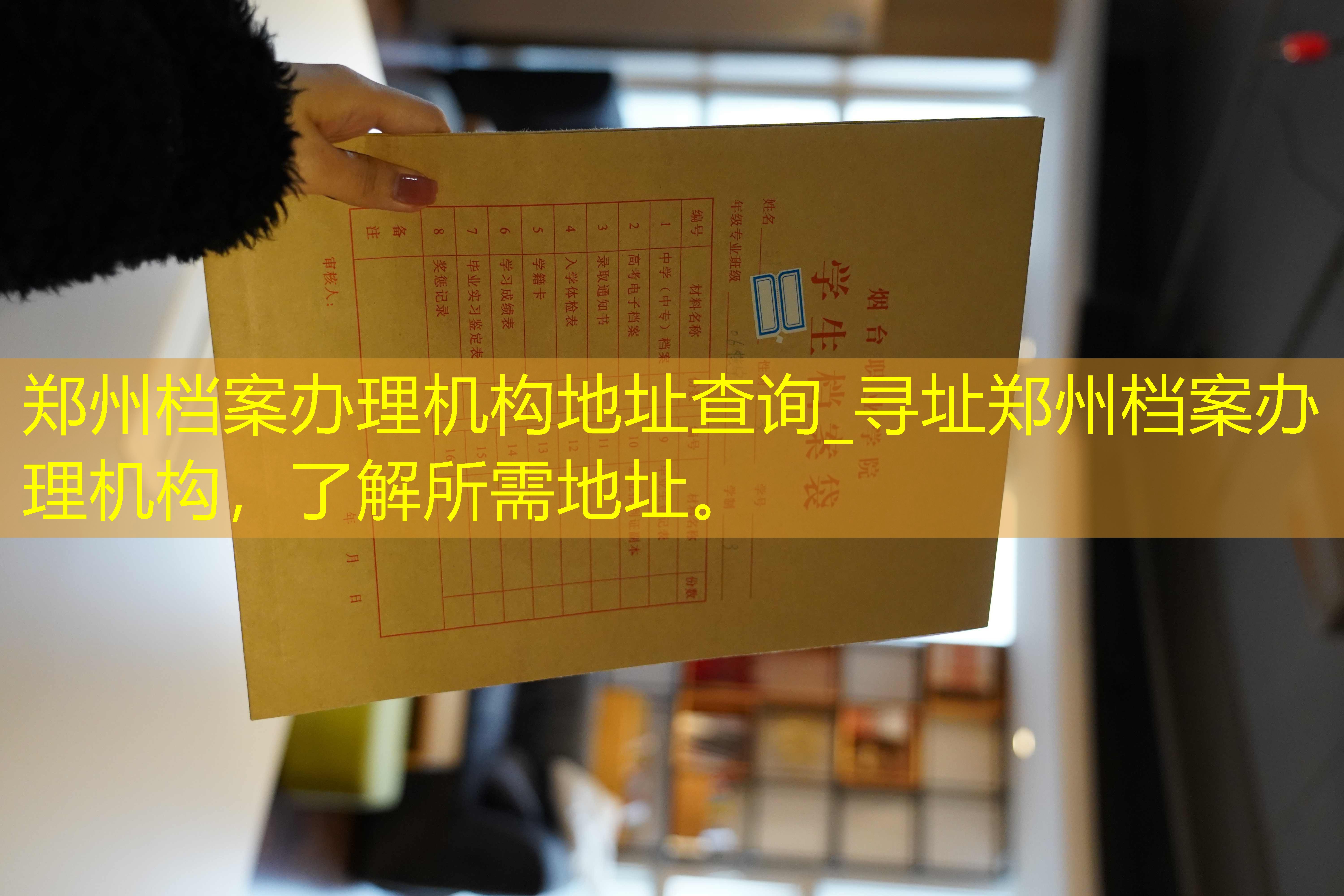 档案查询