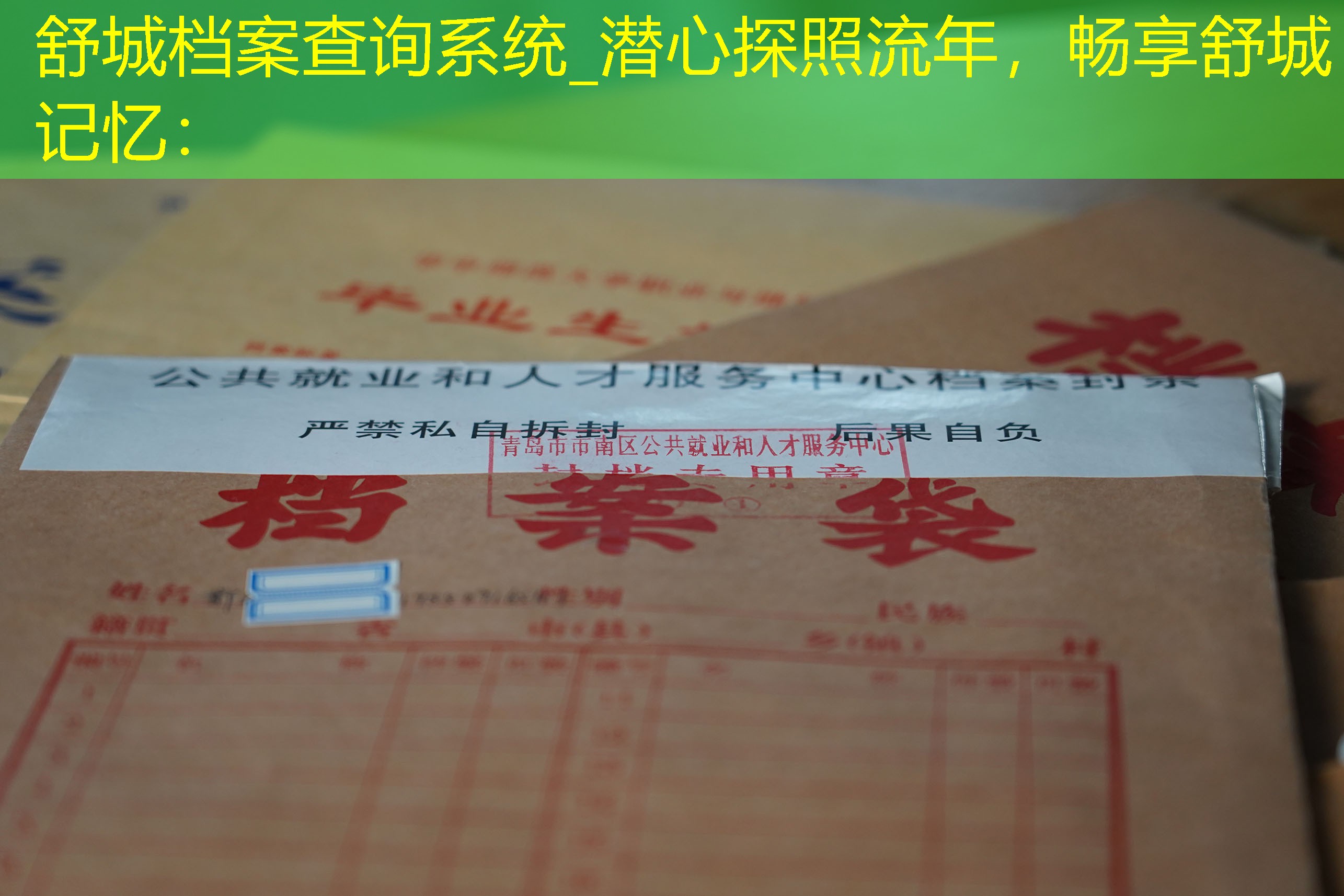 档案查询