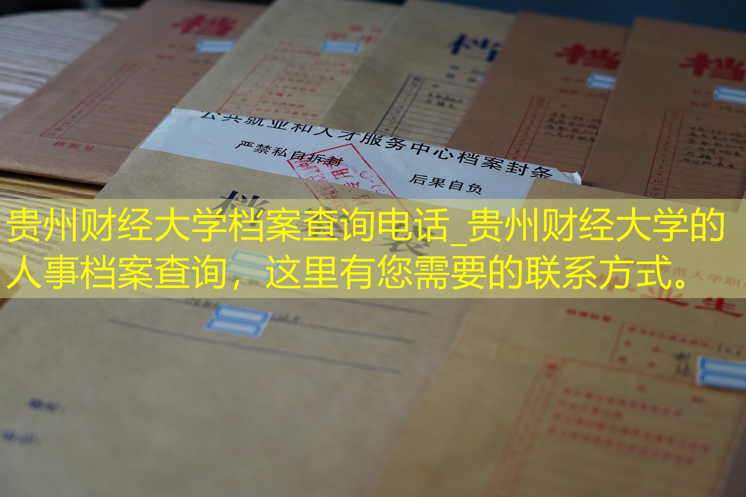 档案查询