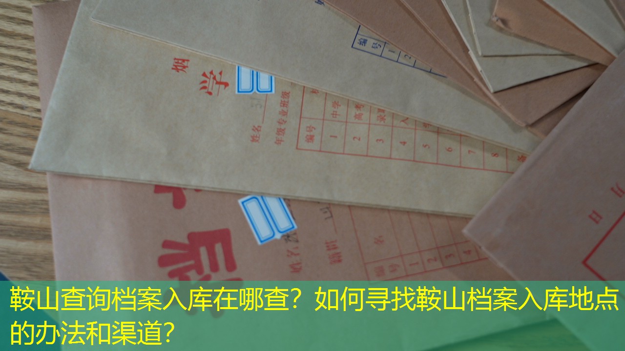 档案查询
