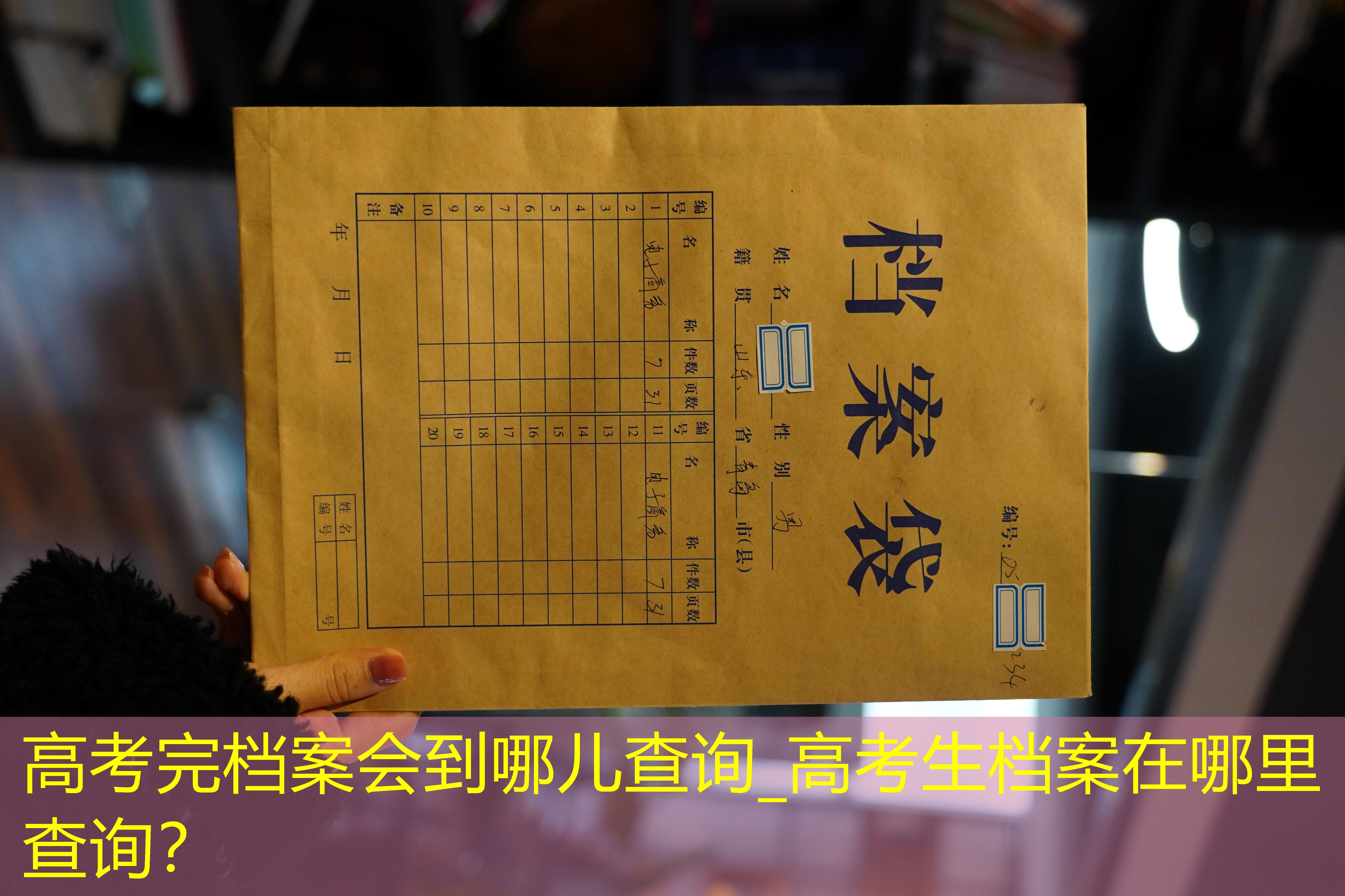 档案查询
