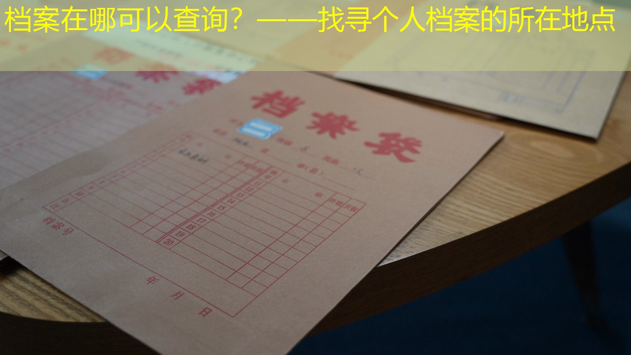 档案查询