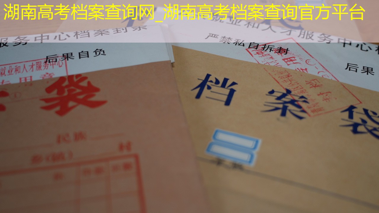 档案查询
