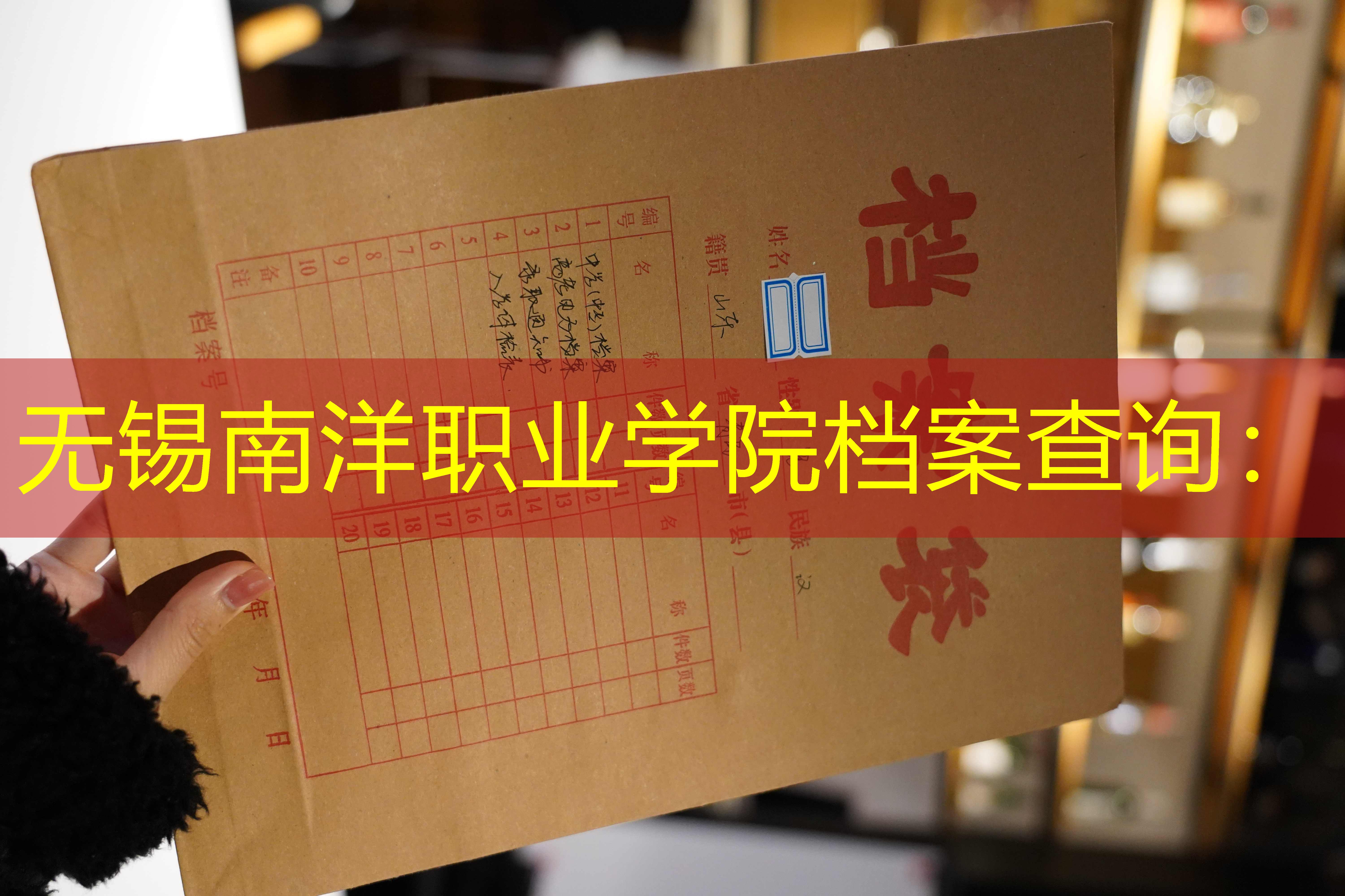 档案查询