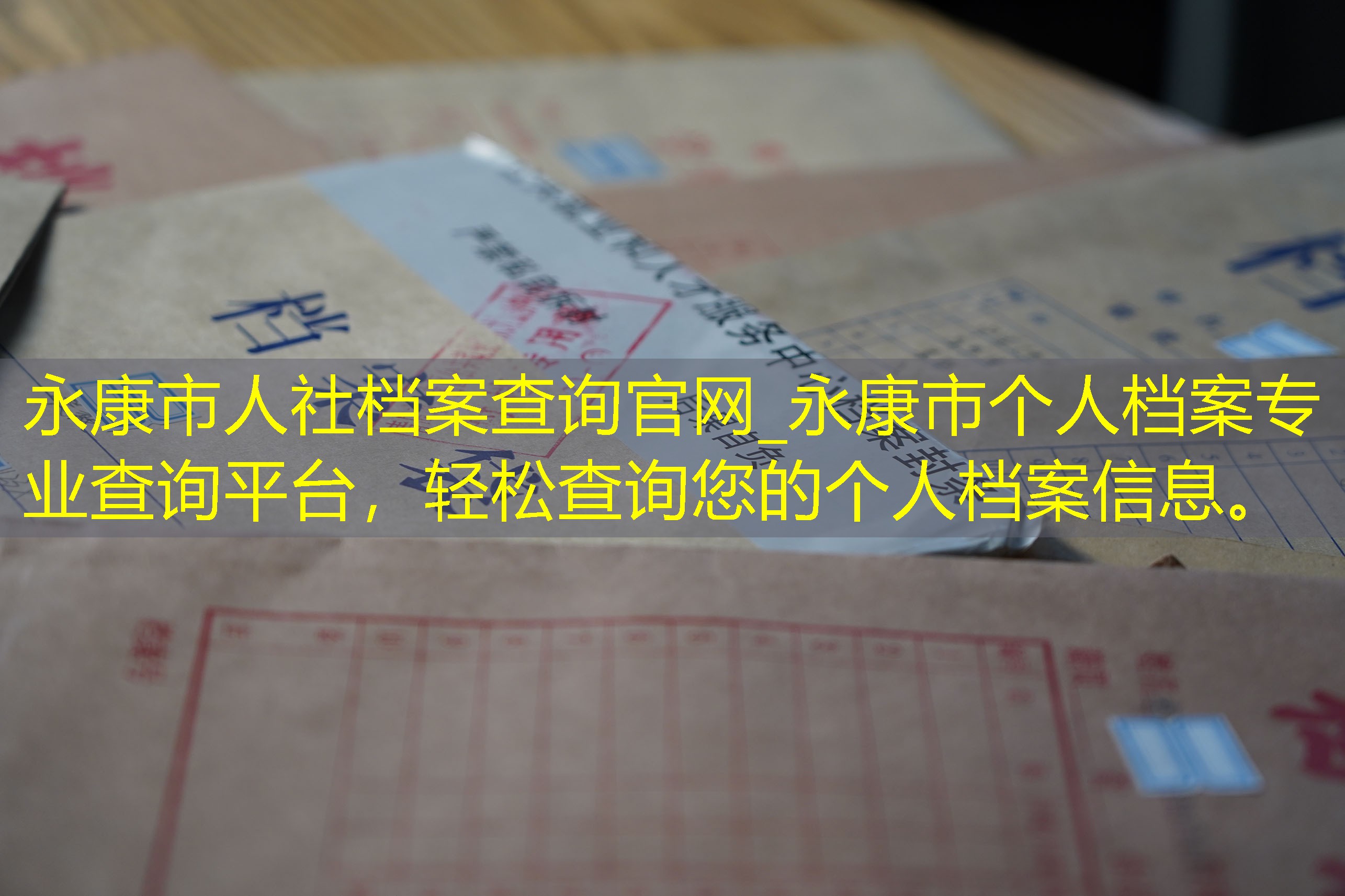 档案查询