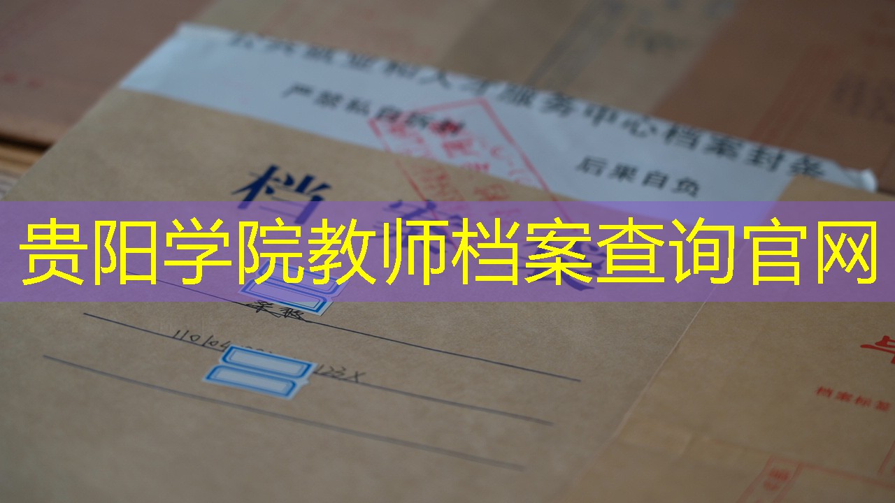 档案查询