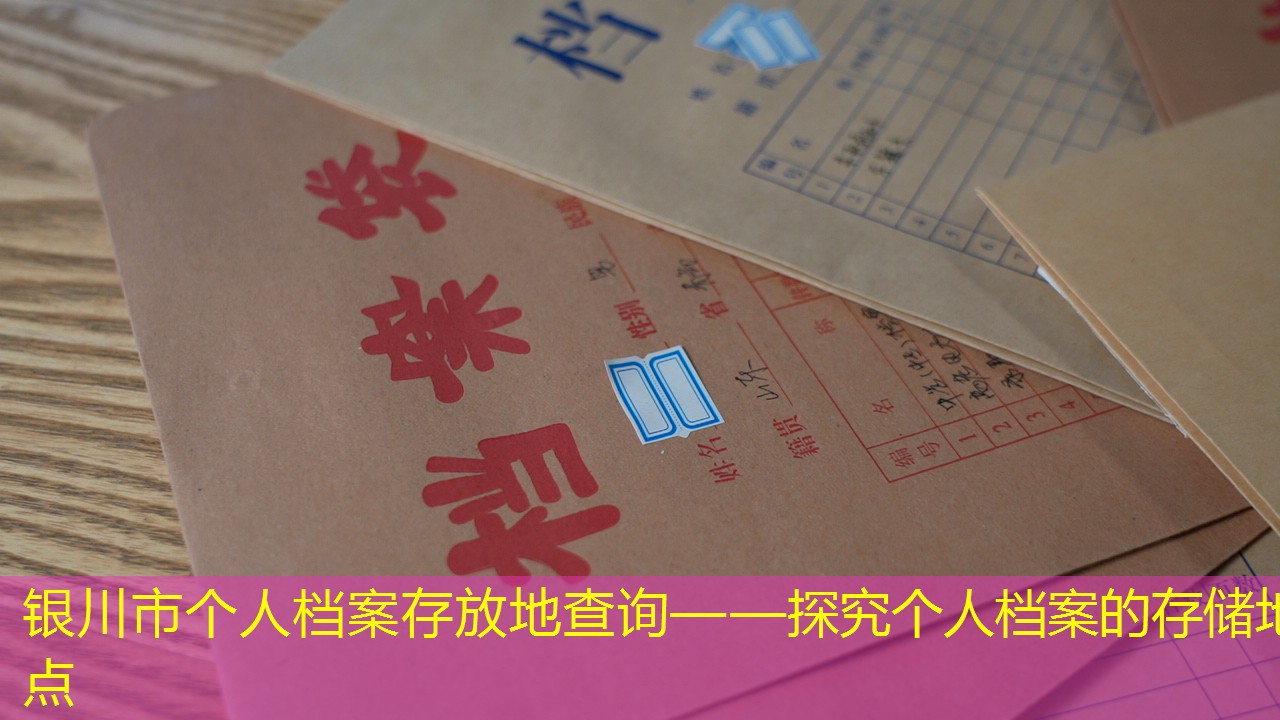 档案查询
