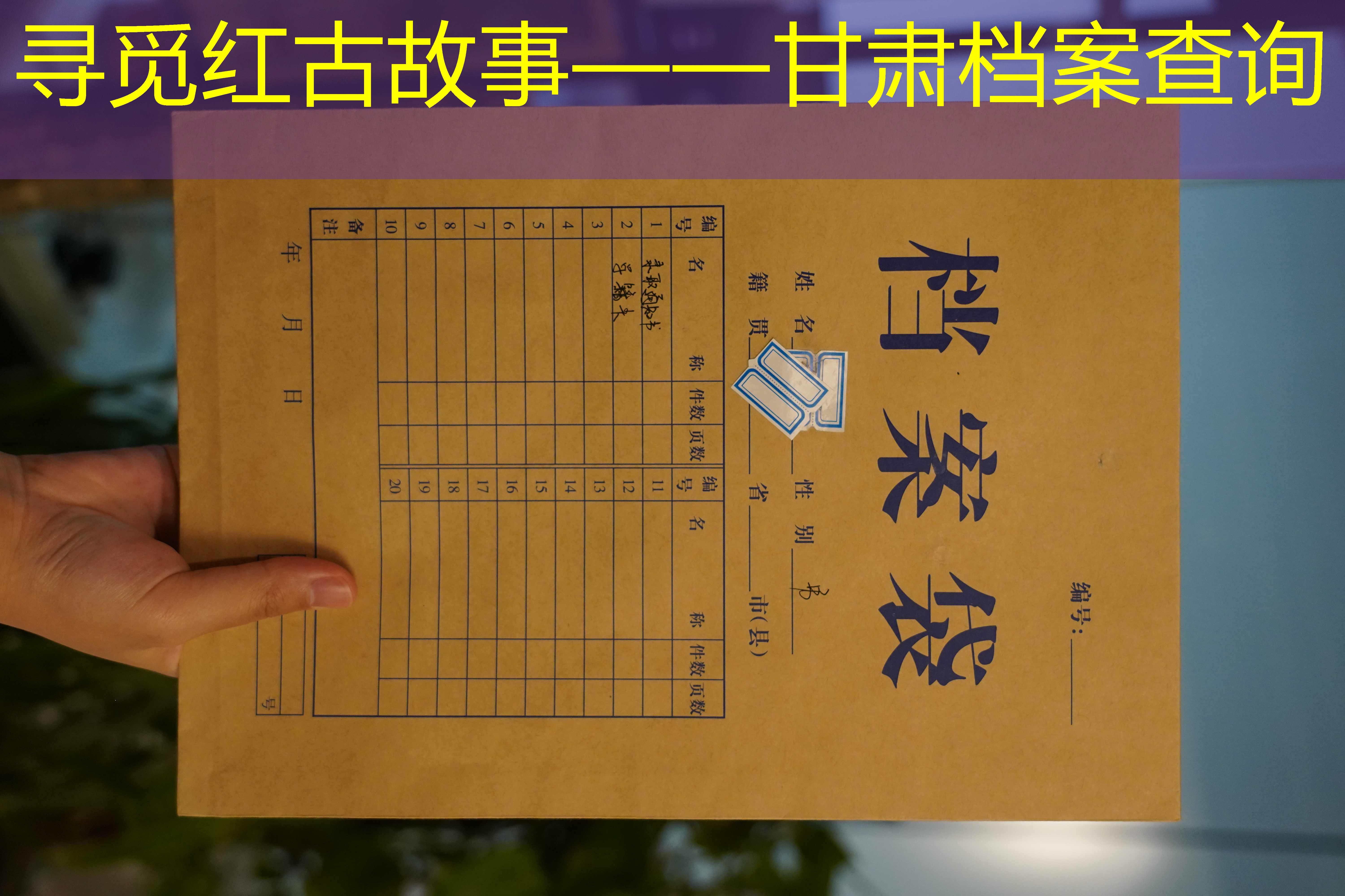 档案查询