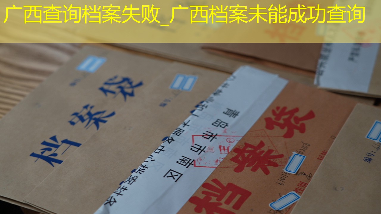 档案查询